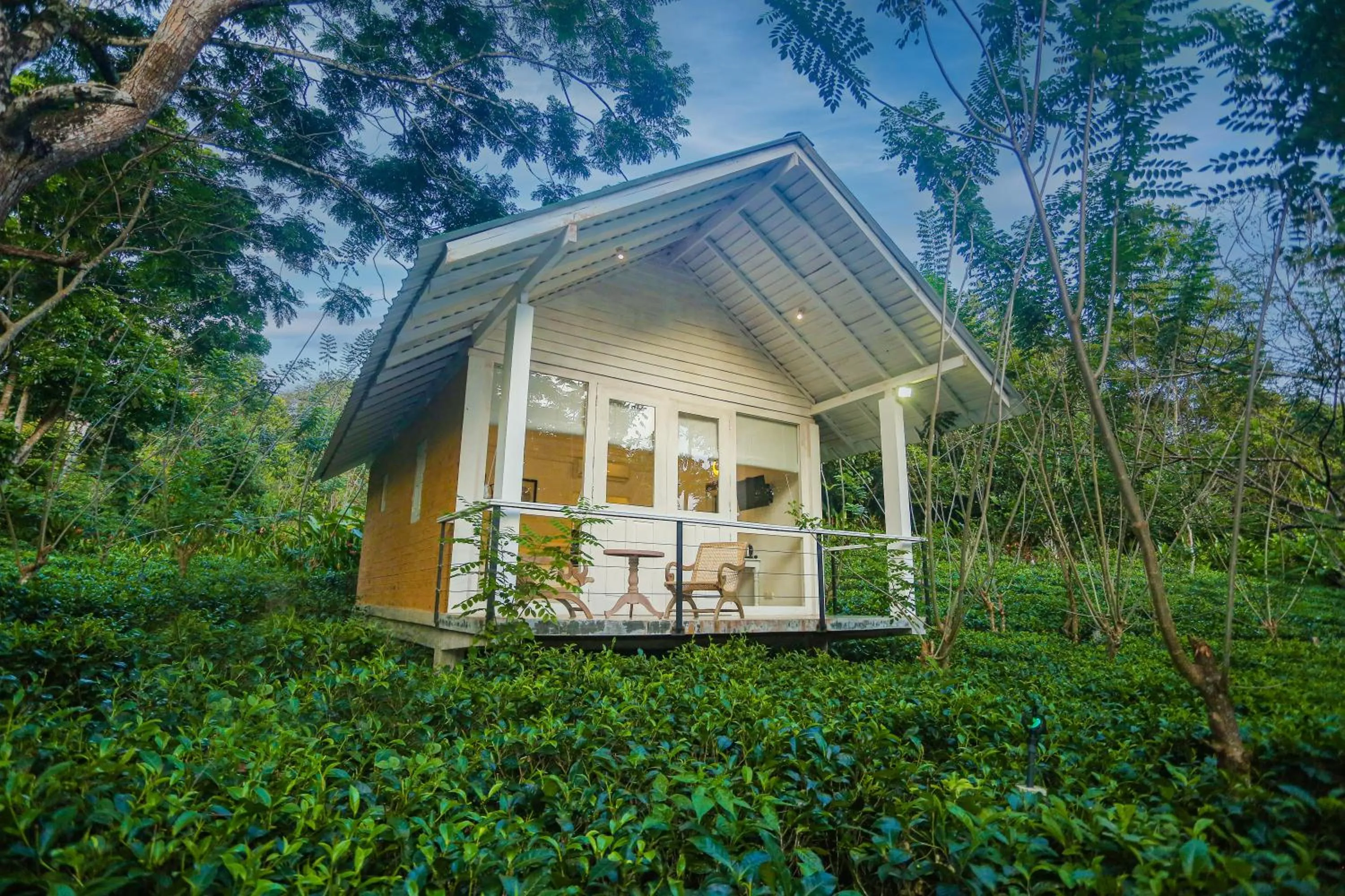 Ilukketiya Tea Chalets