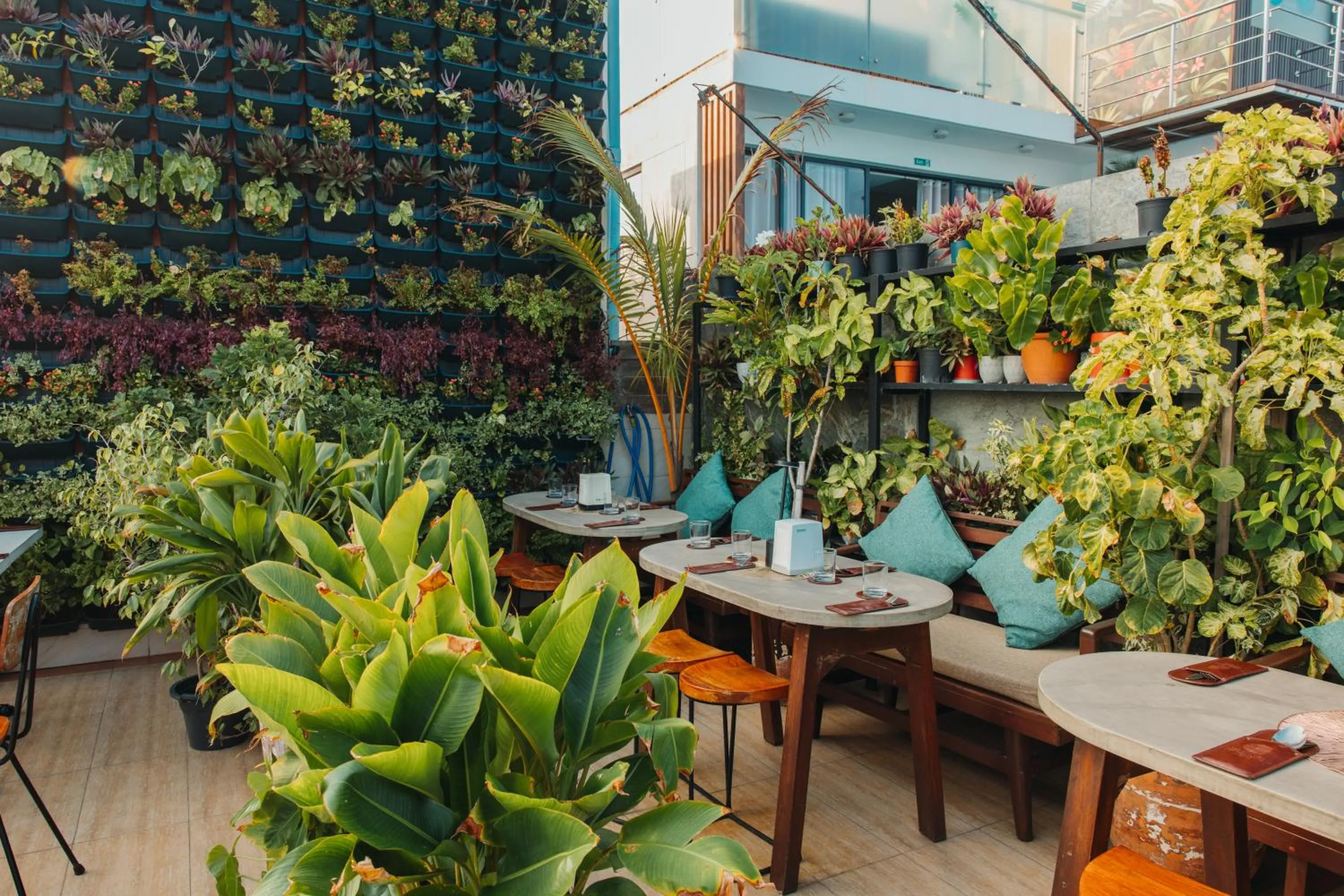 Restaurant/places to eat in Amber Beach Hotel at Hulhumale