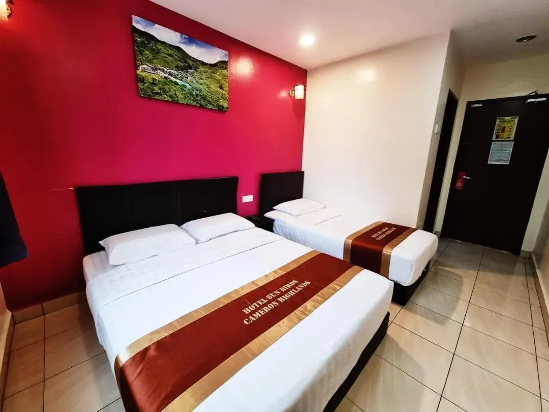 Triple Room in Hotel Sun Birds Triple Room in Hotel Sun Birds