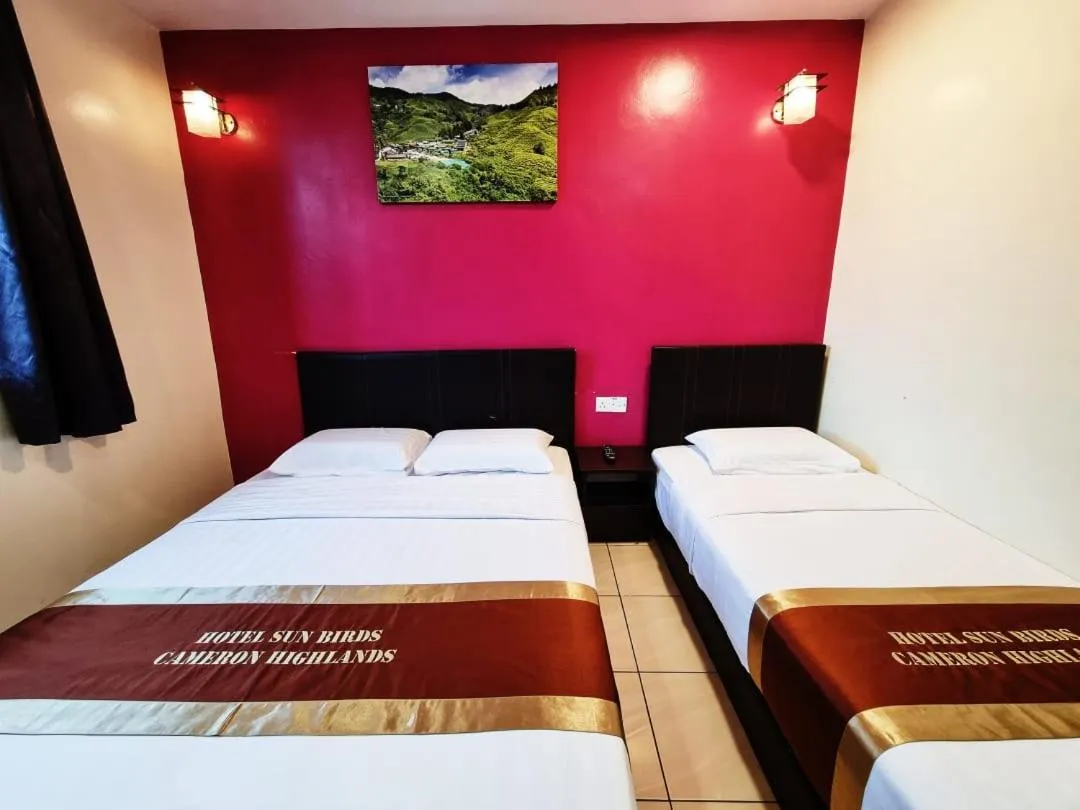 Bed in Hotel Sun Birds