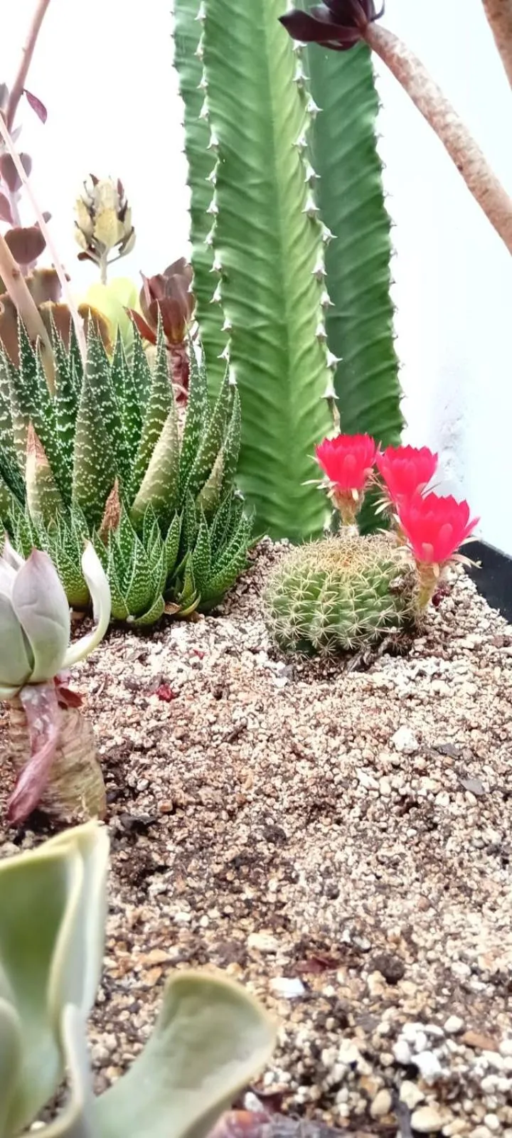 Casa de la Asunción