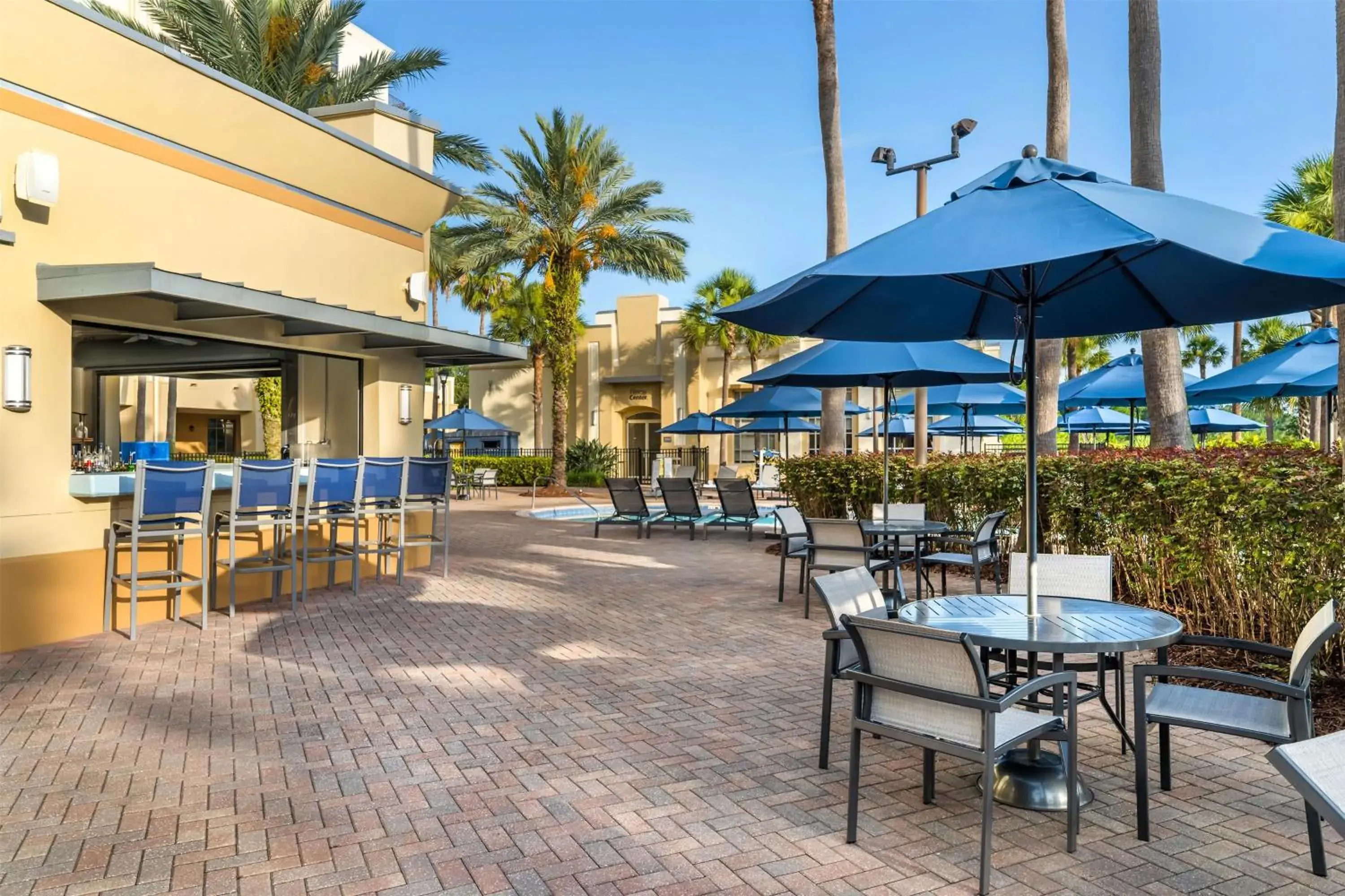 Pool view in Hilton Grand Vacations Club Las Palmeras Orlando Pool view in Hilton Grand Vacations Club Las Palmeras Orlando