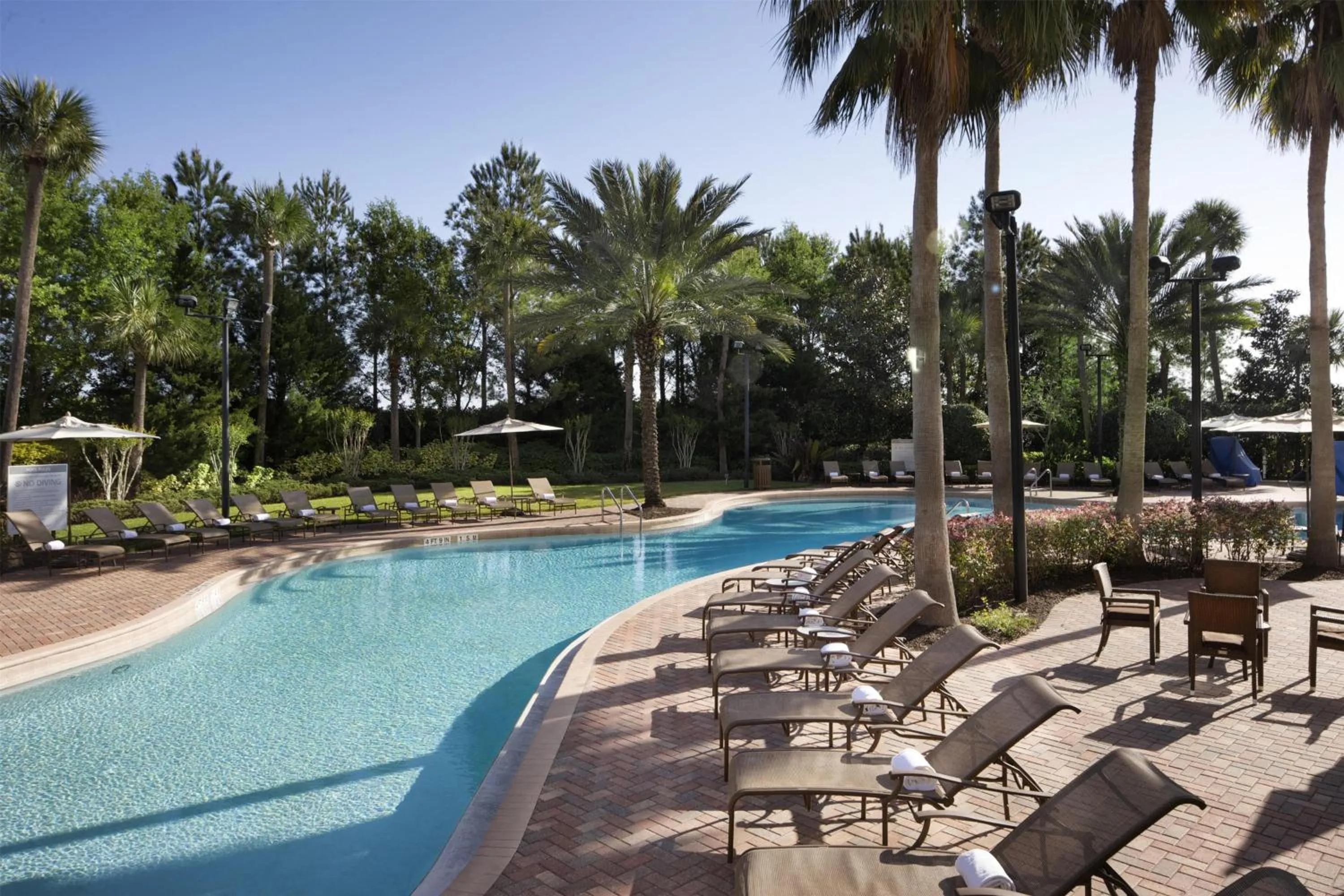 Pool view in Hilton Grand Vacations Club Las Palmeras Orlando