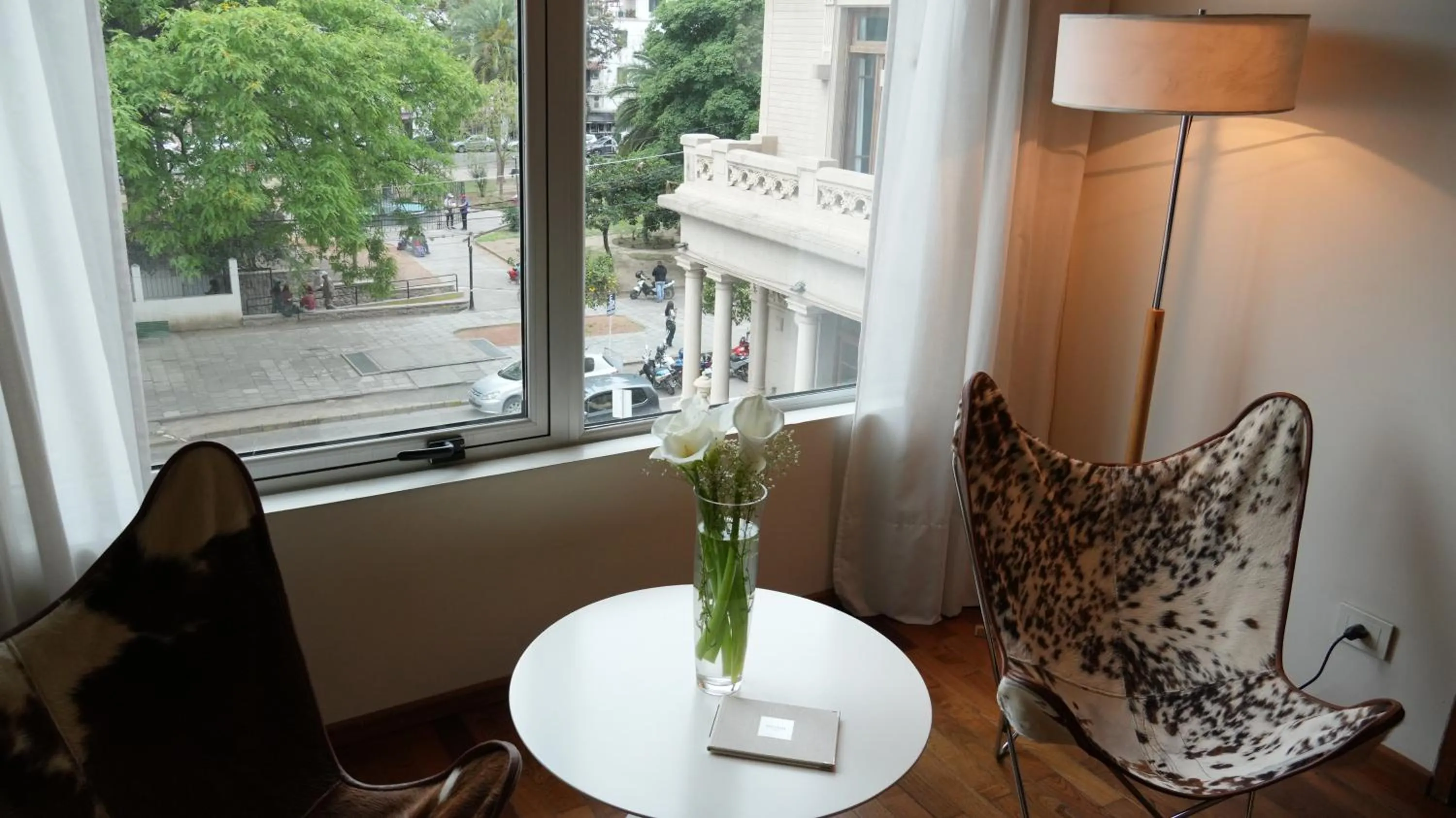 Garden view in Design Suites Salta