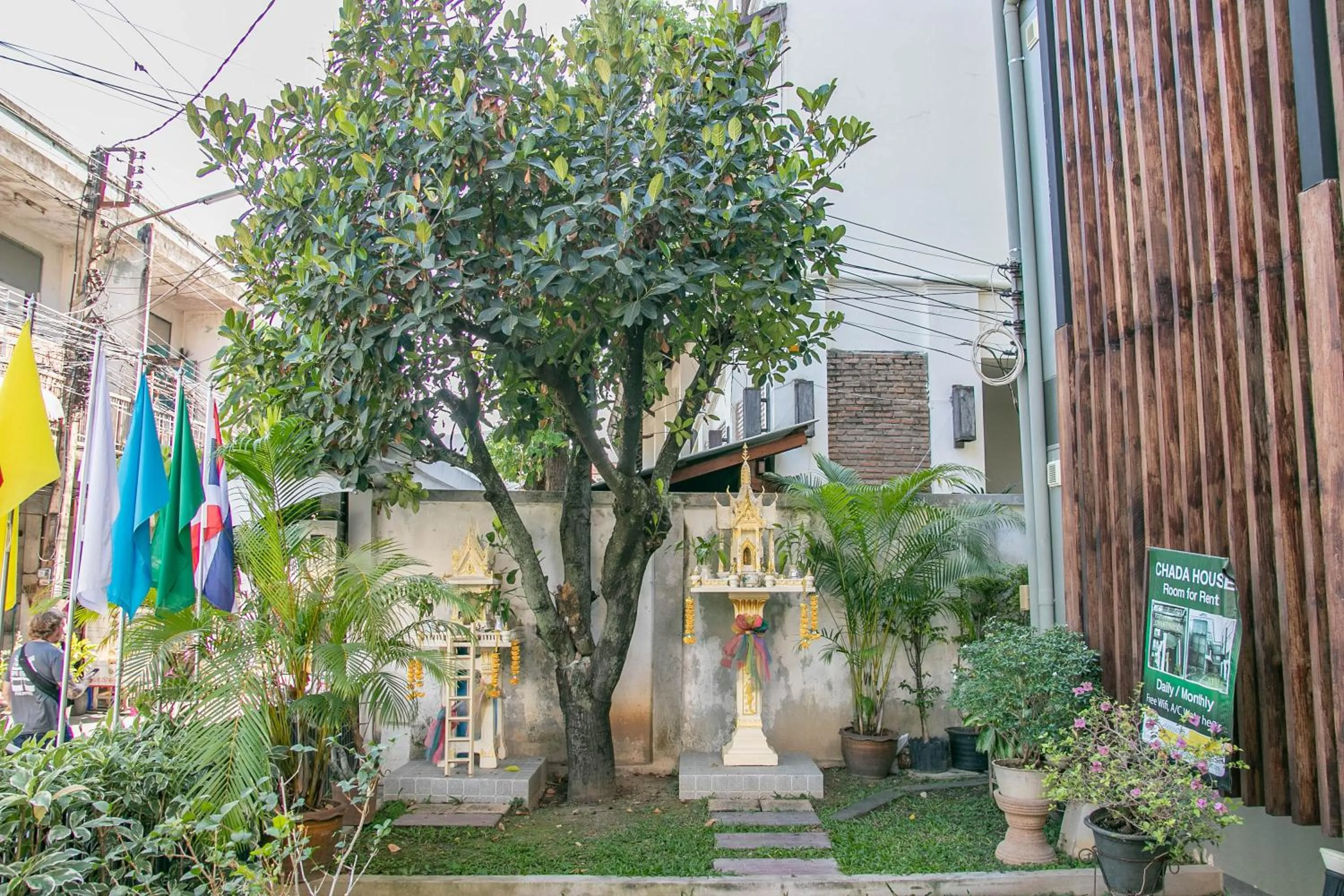 Garden in CHADA HOUSE