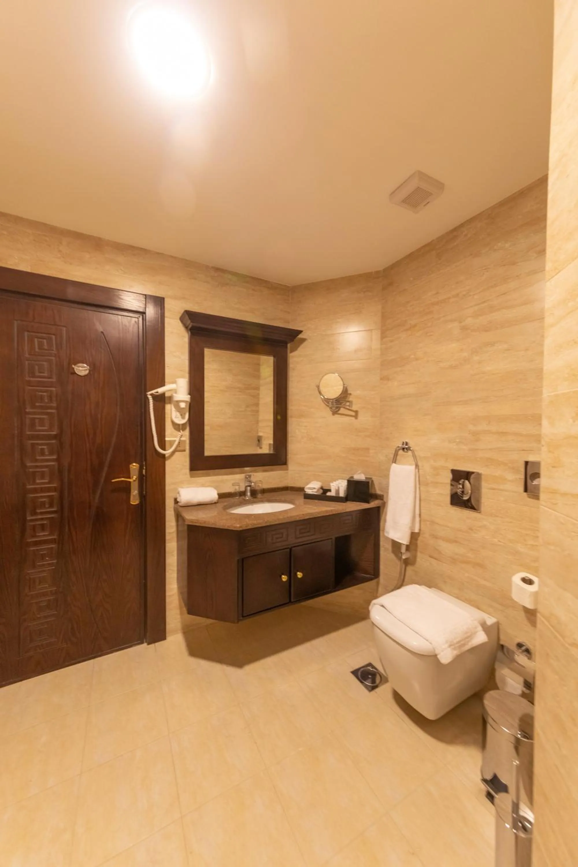 Toilet in Petra Canyon Hotel