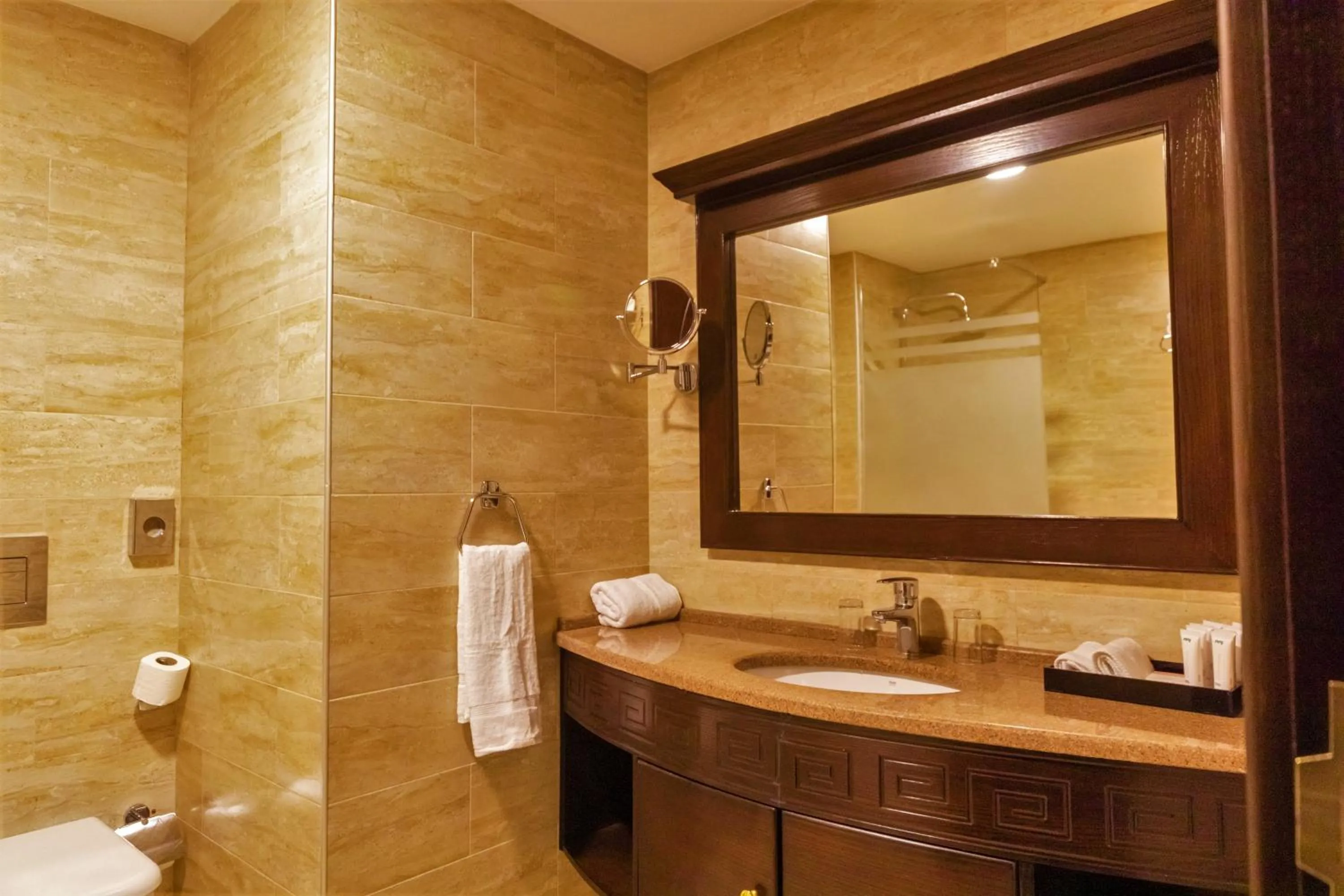 Bathroom in Petra Canyon Hotel