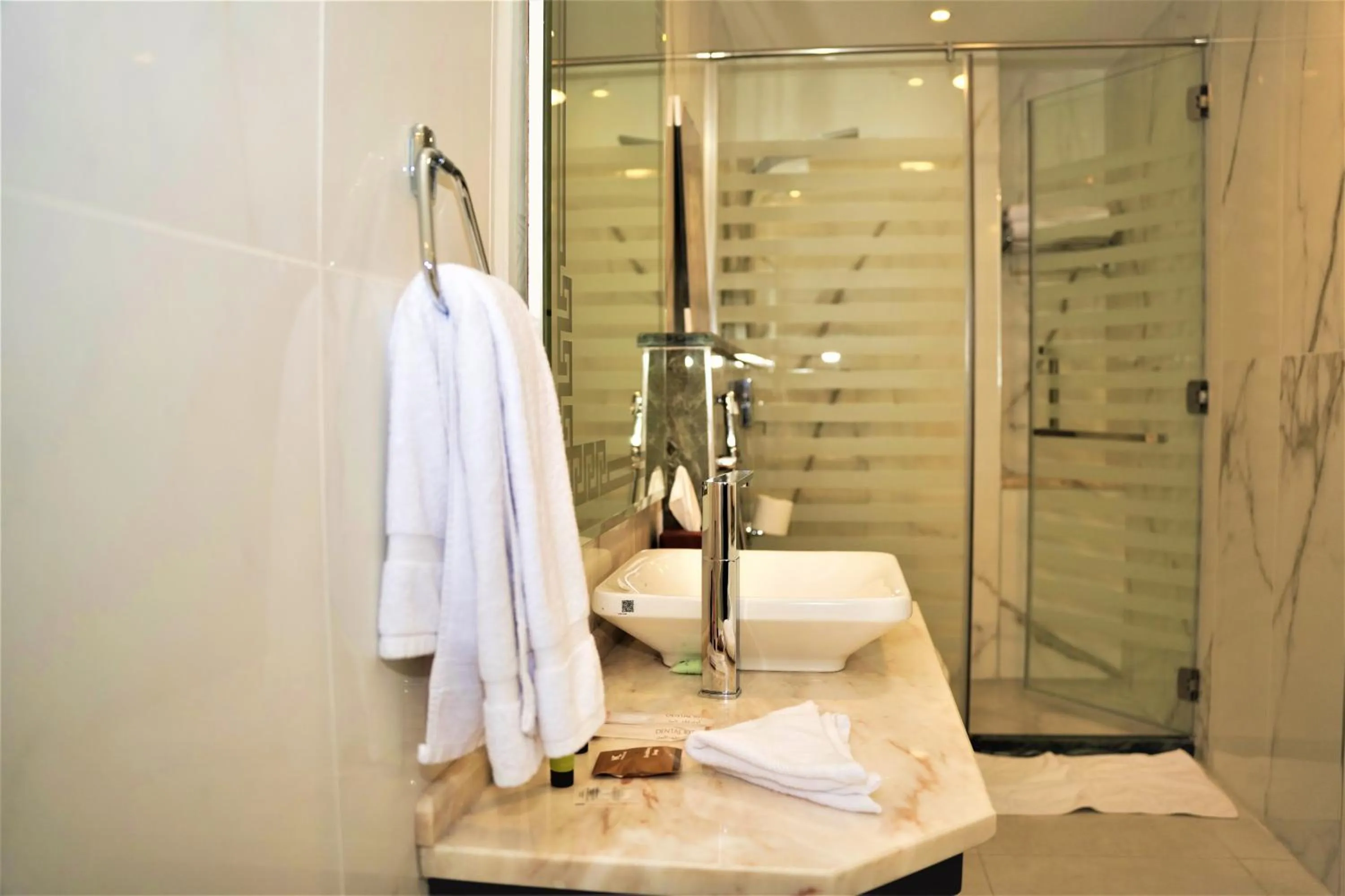 Shower in Petra Canyon Hotel