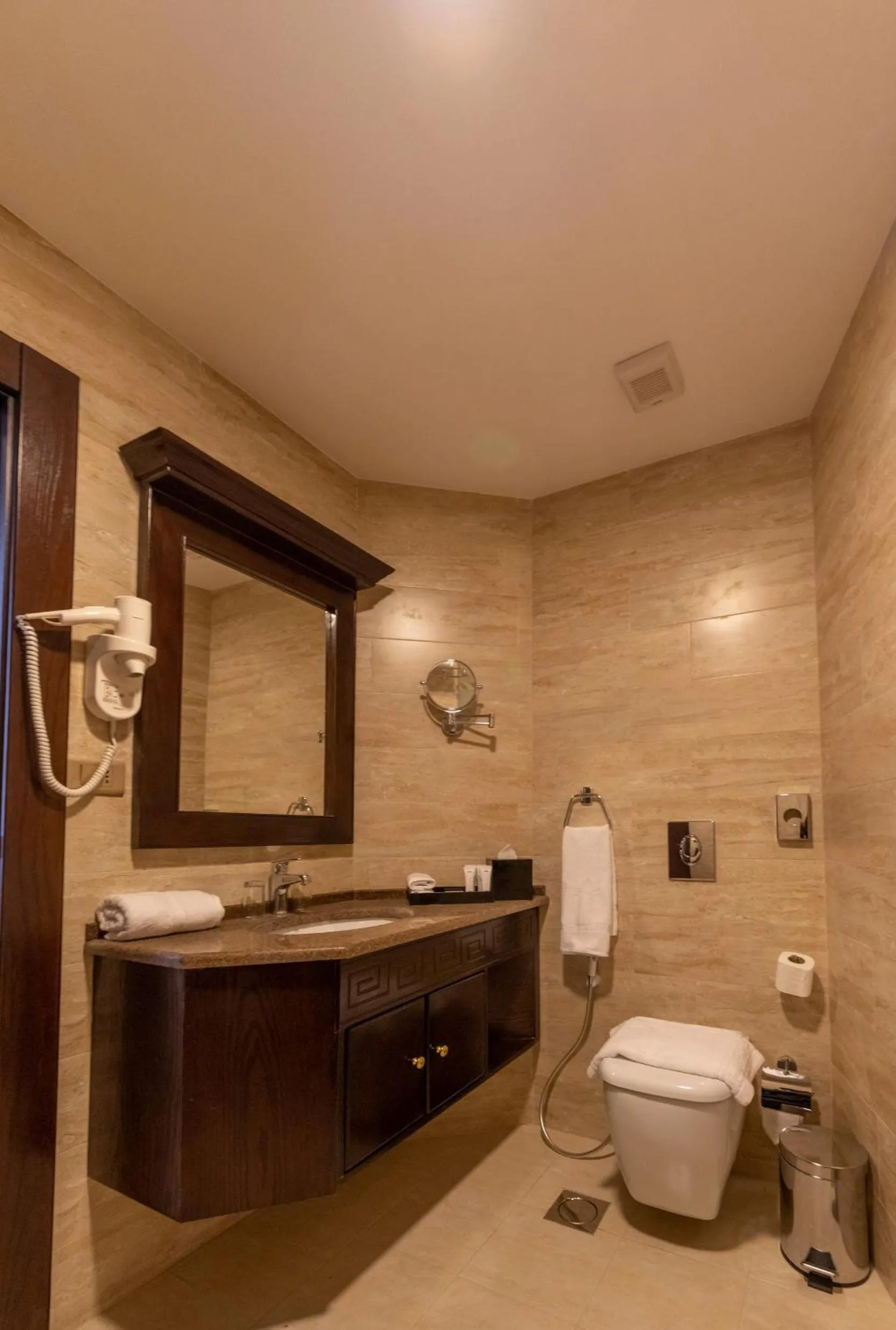 Toilet in Petra Canyon Hotel