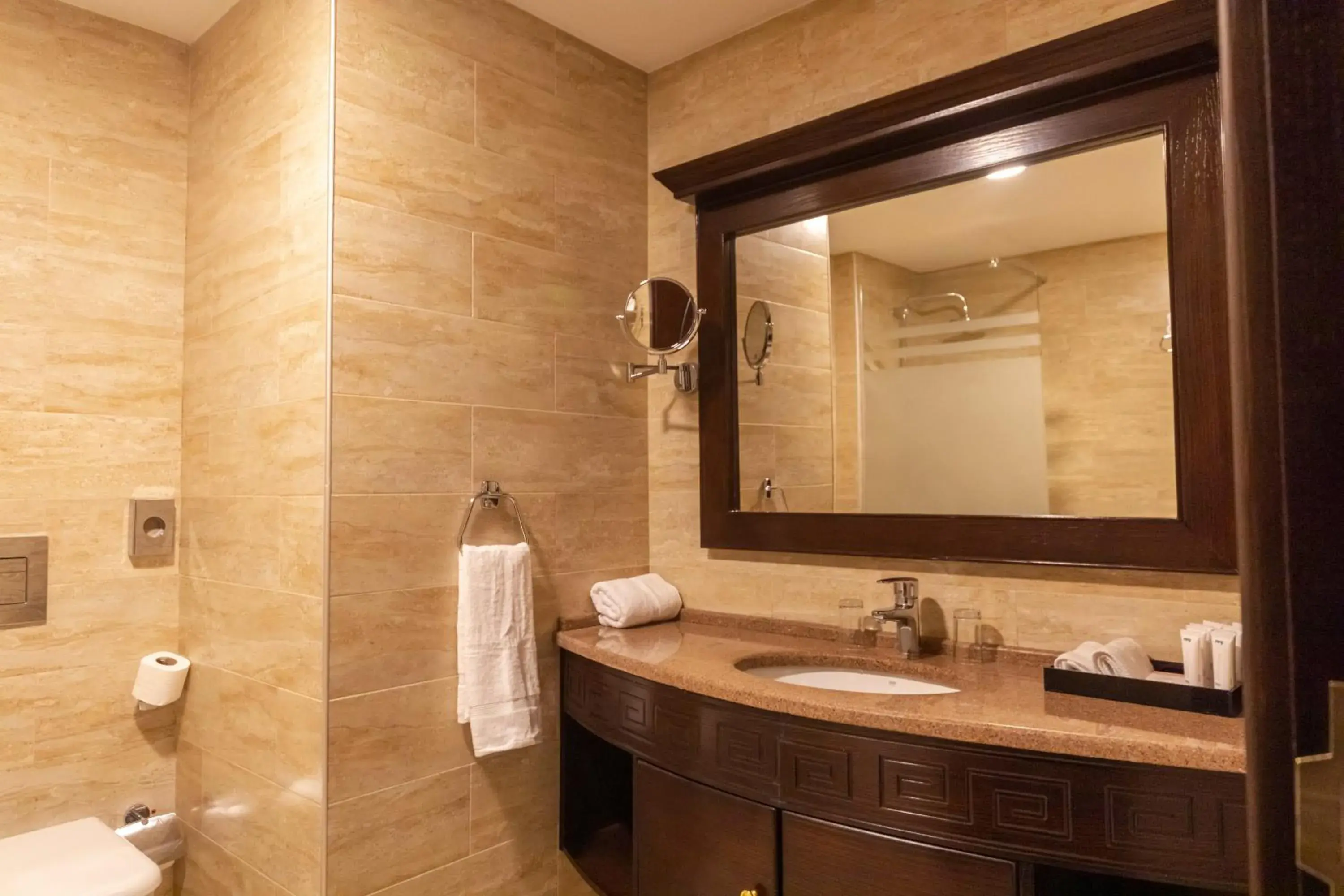 Deluxe Twin Room in Petra Canyon Hotel Deluxe Twin Room in Petra Canyon Hotel