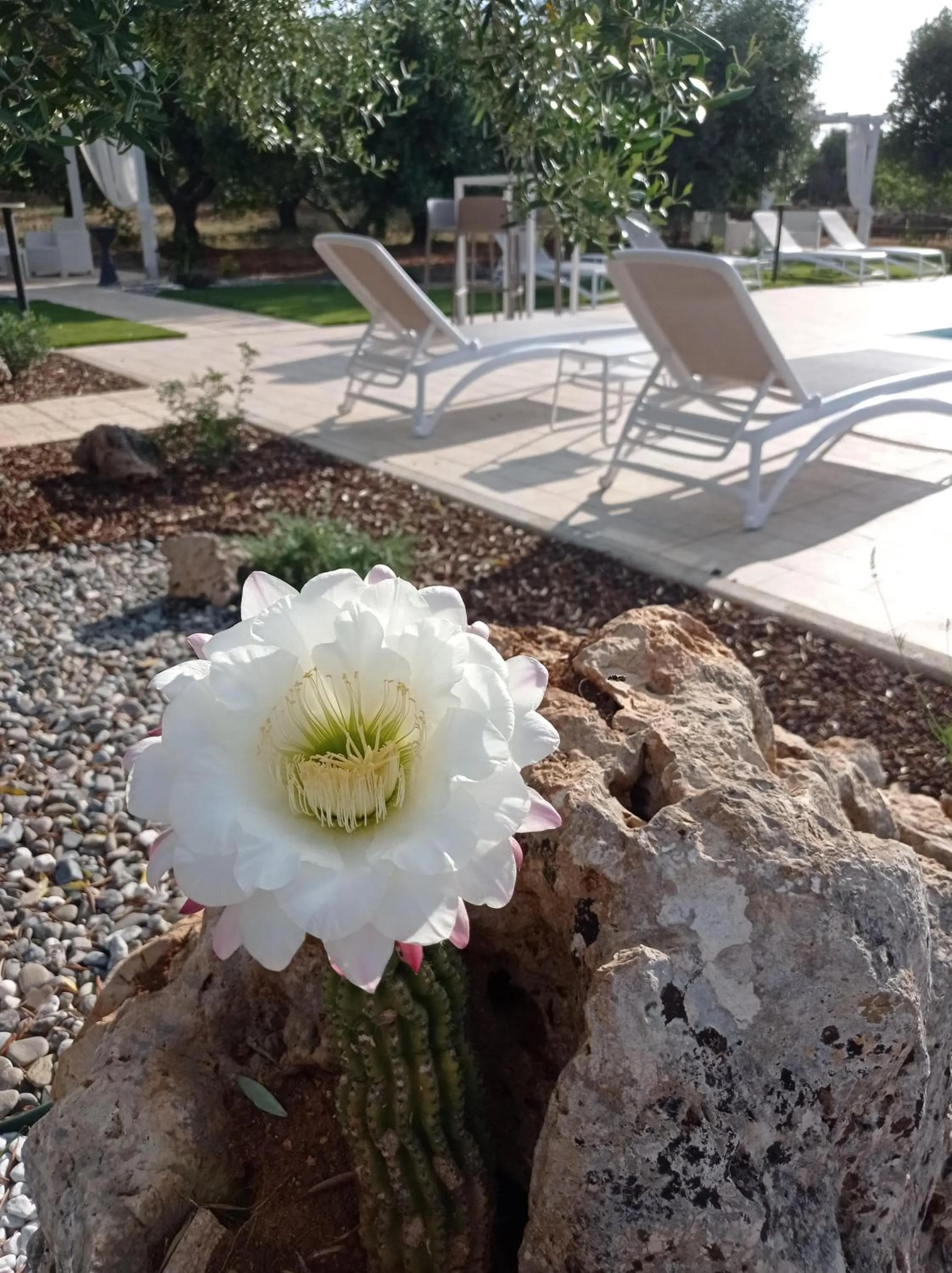 Day in Dimora Pianelle