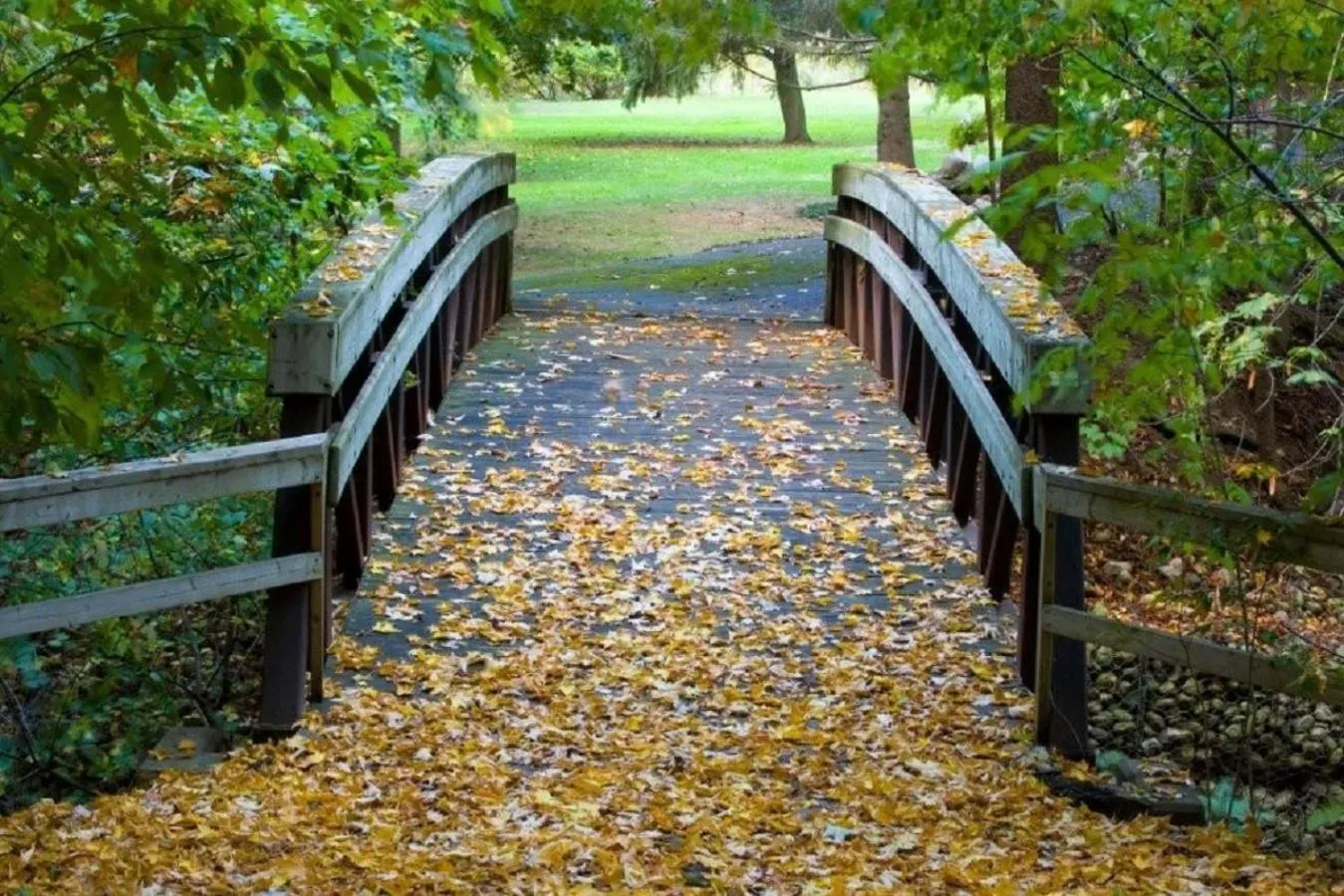 Garden in Guest House on the Mount