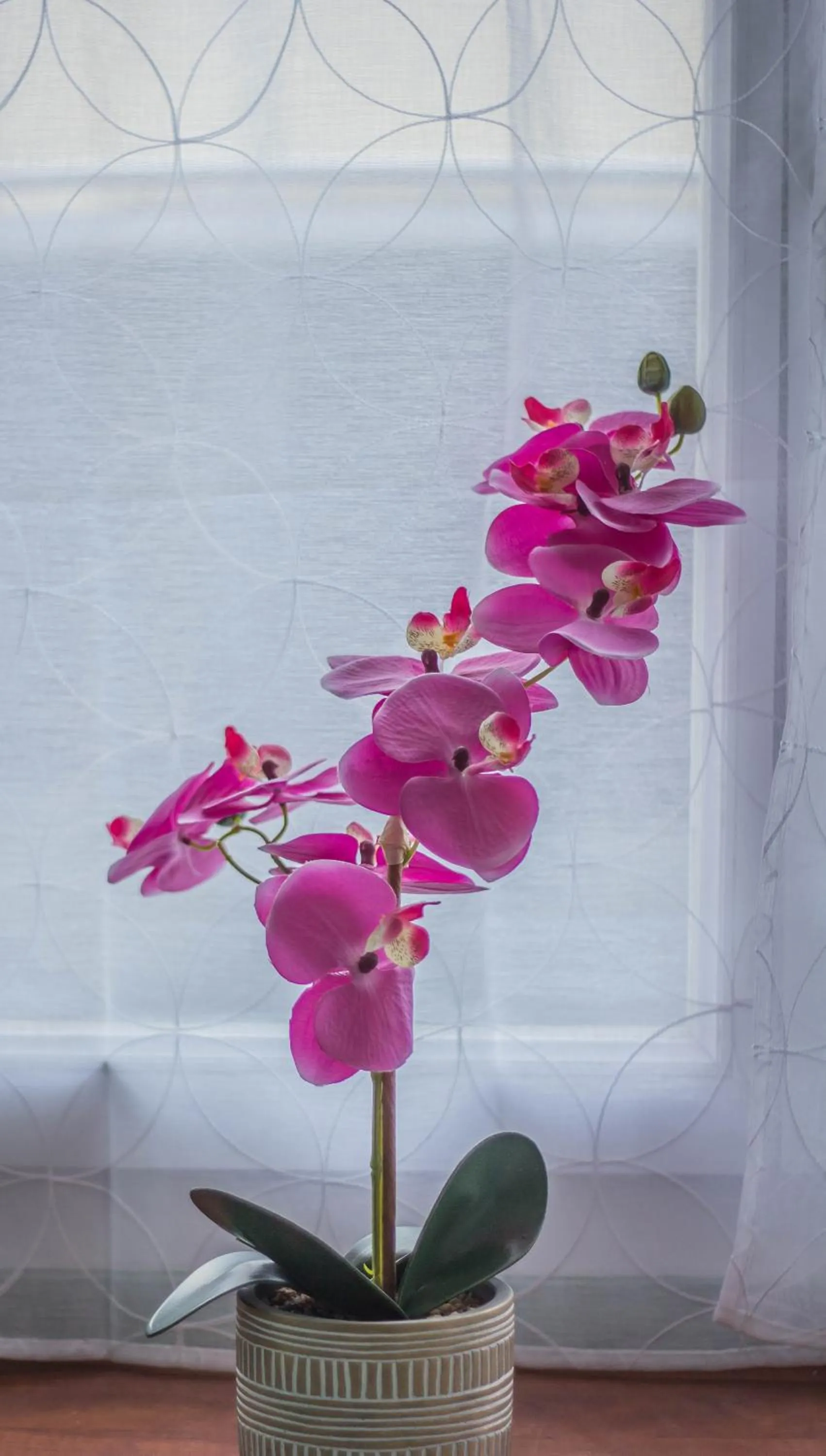 Les chambres touristique Juléa