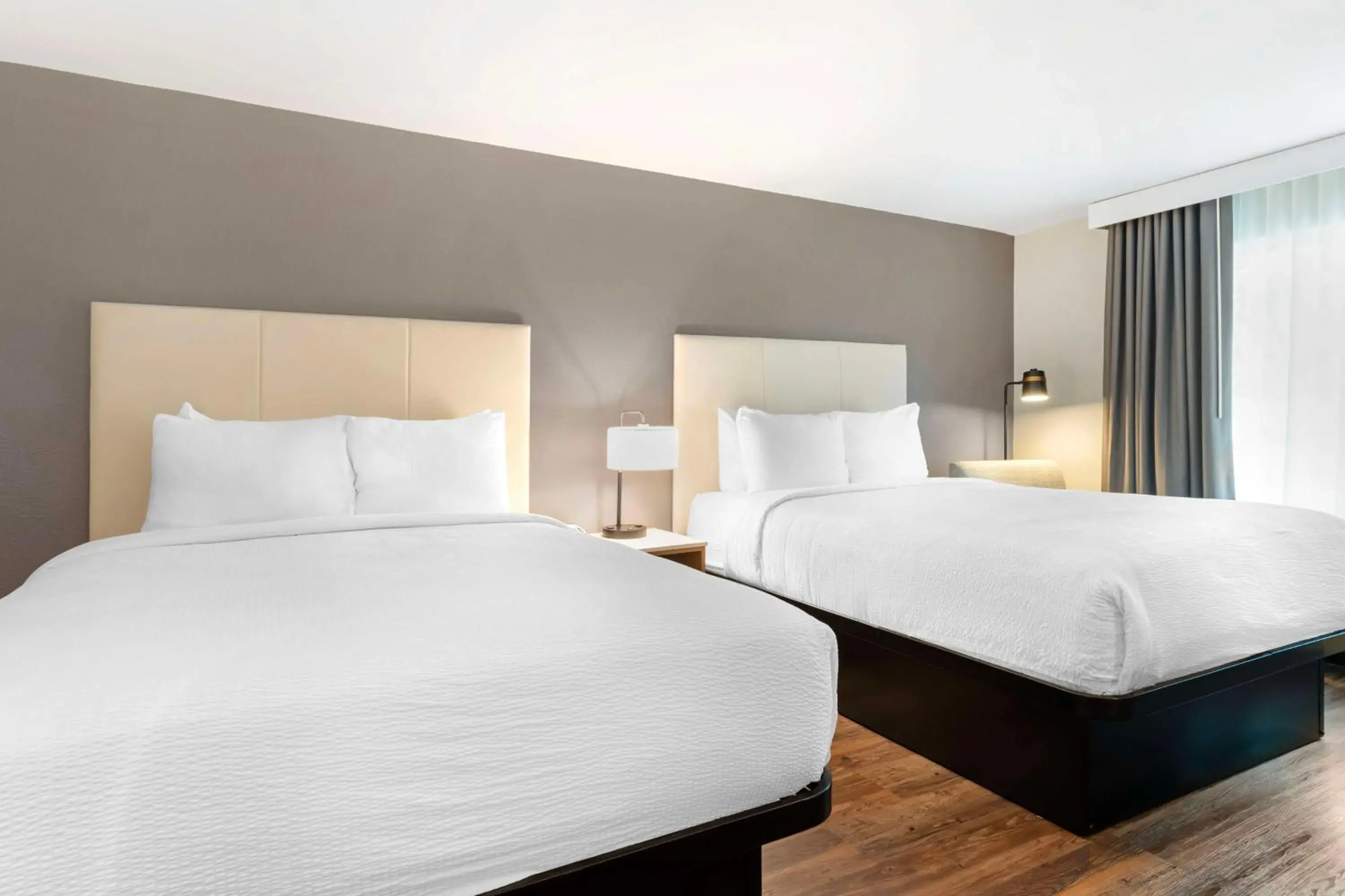 Bedroom in Best Western Plus Rancho Cordova Inn Bedroom in Best Western Plus Rancho Cordova Inn