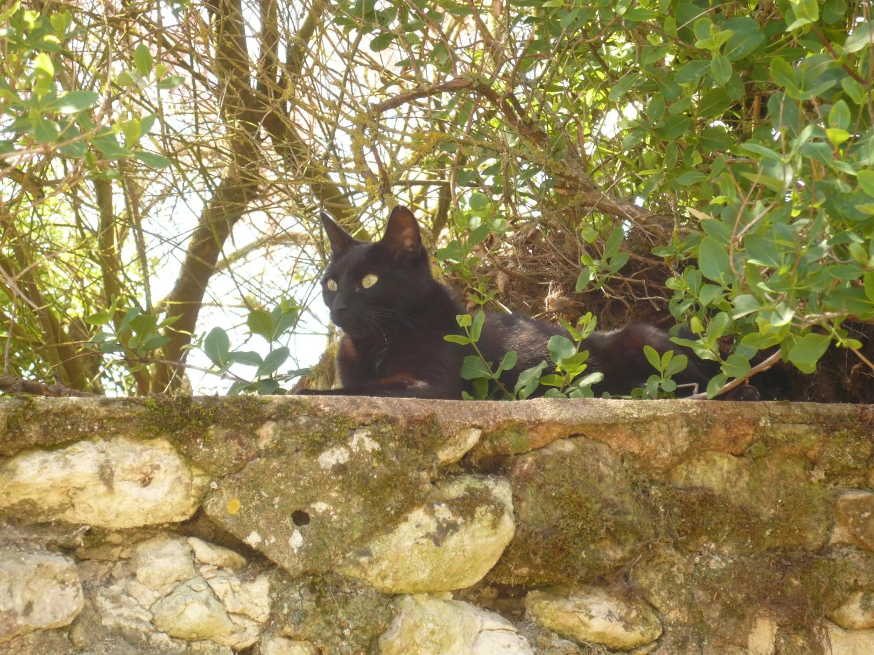 Facade/entrance in Le Pigeonnier du Perron Hôtel