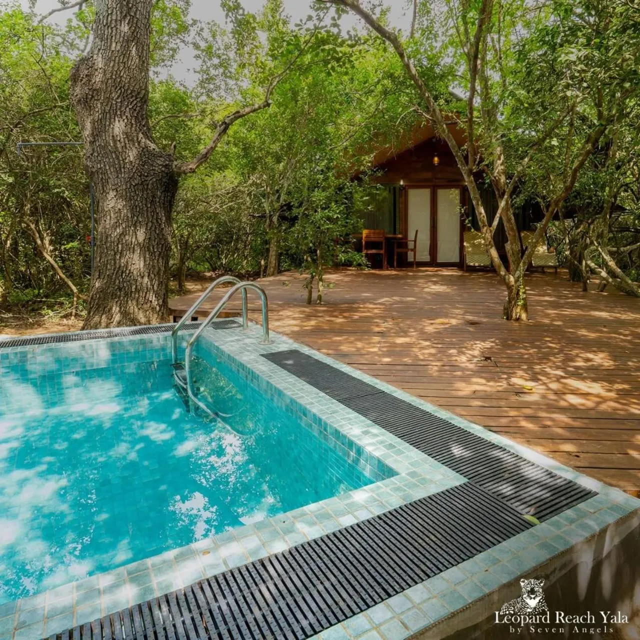 Pool view in Leopard Reach Yala by Seven Angels