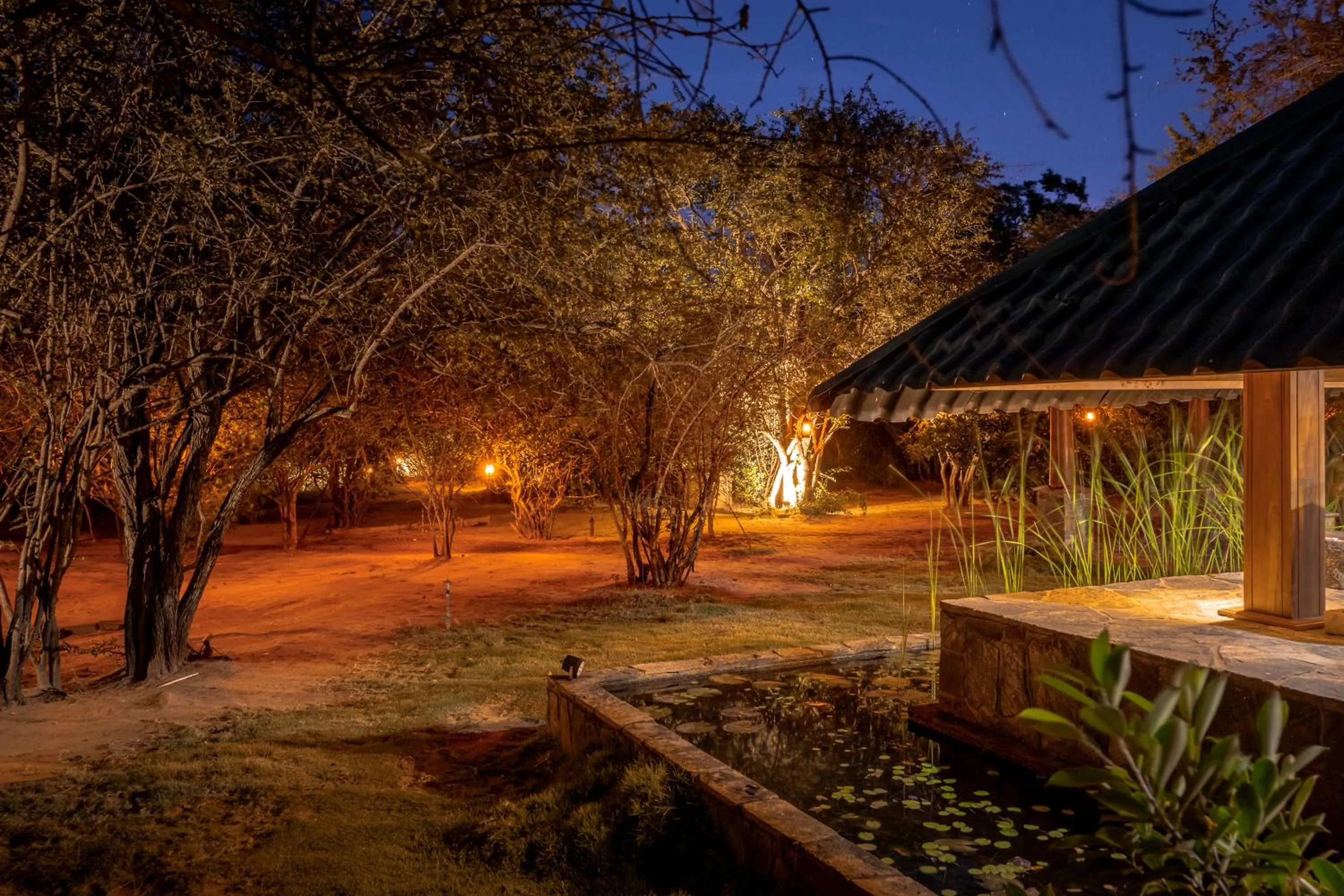 Natural landscape in Leopard Reach Yala by Seven Angels