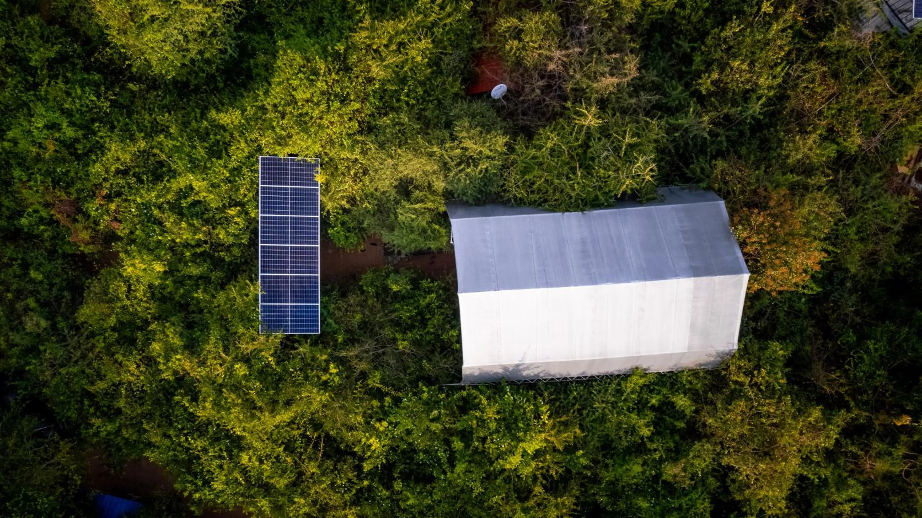Bird's eye view in Leopard Reach Yala by Seven Angels