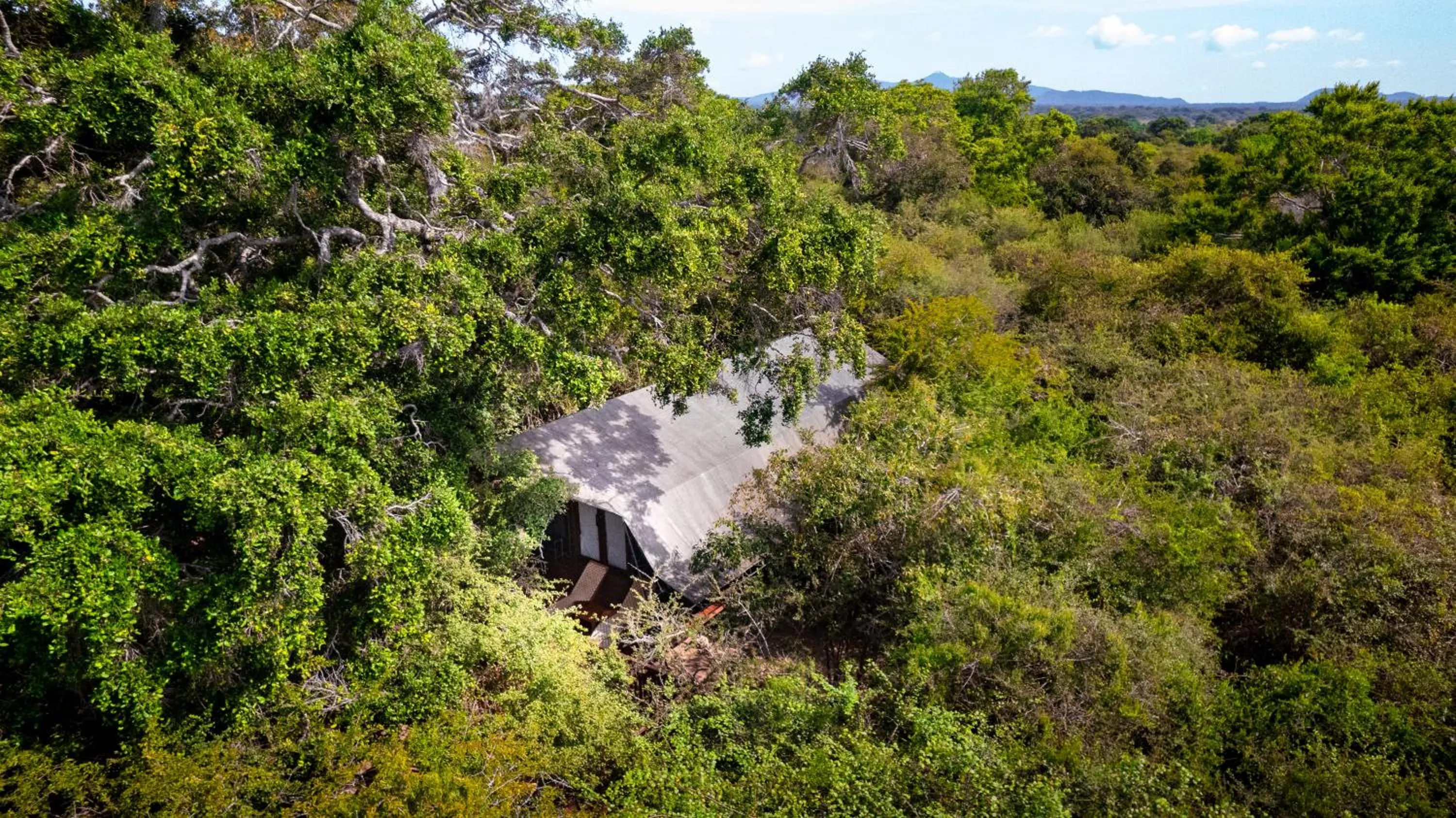 Day in Leopard Reach Yala by Seven Angels