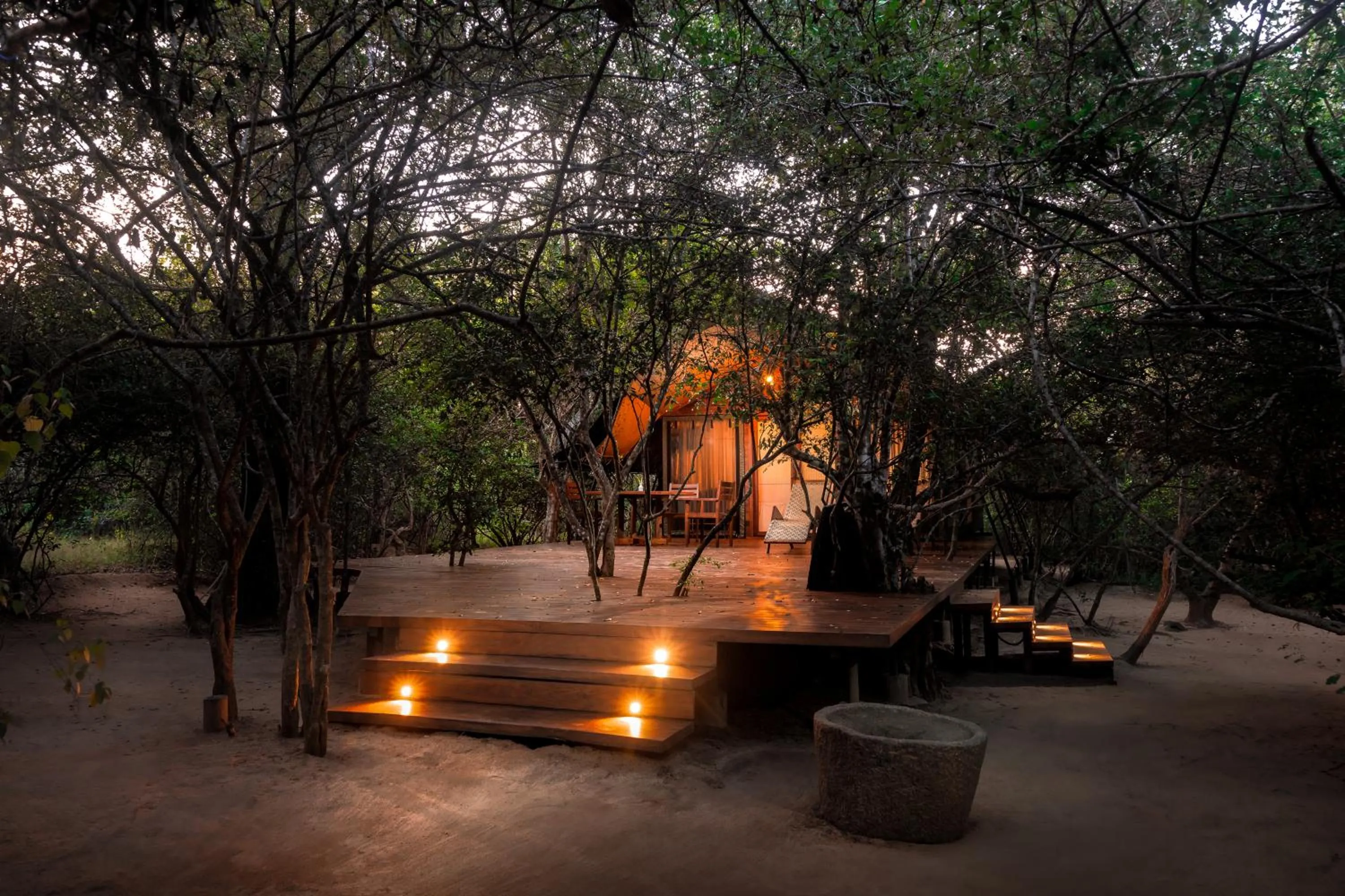 Night in Leopard Reach Yala by Seven Angels