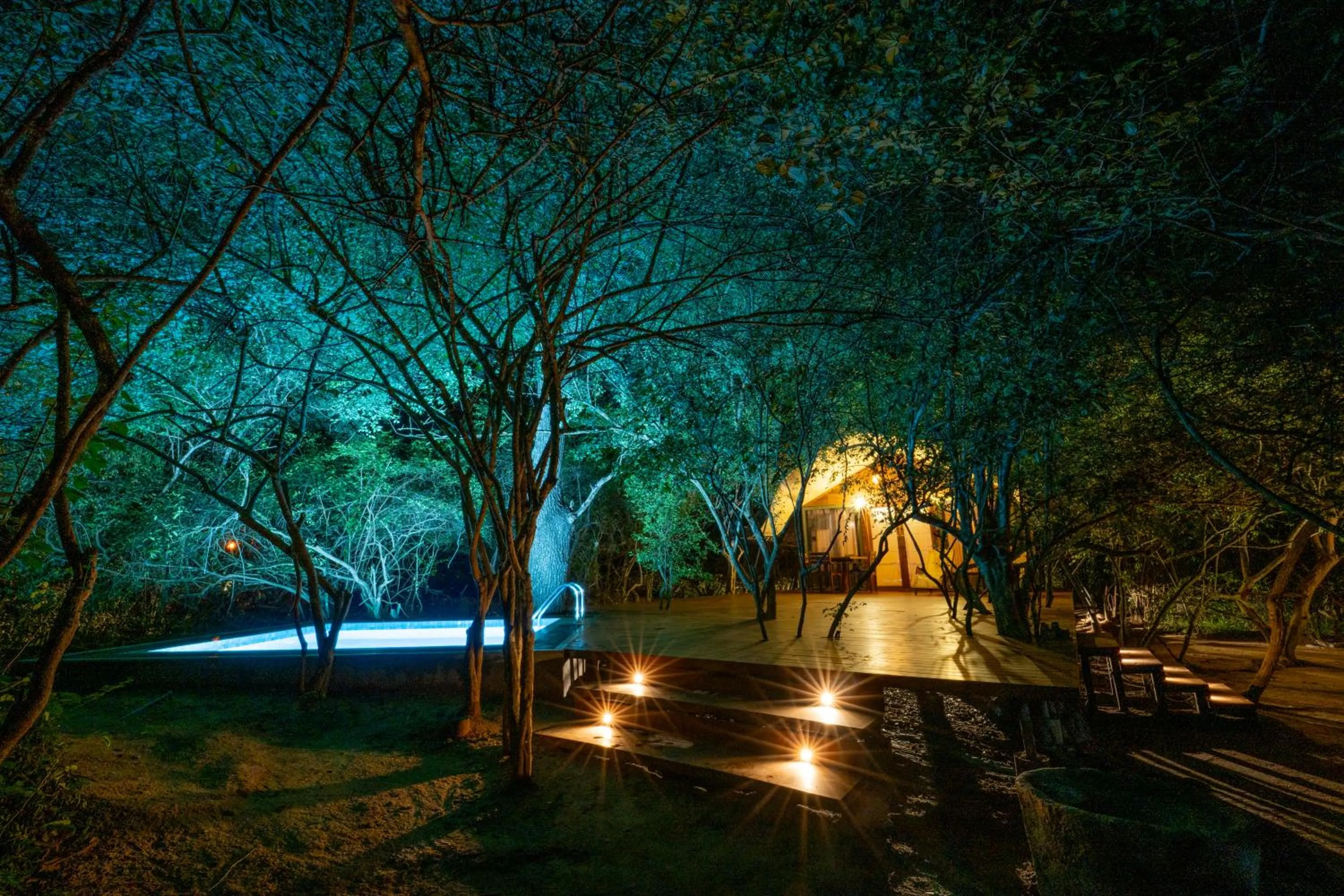 Night in Leopard Reach Yala by Seven Angels