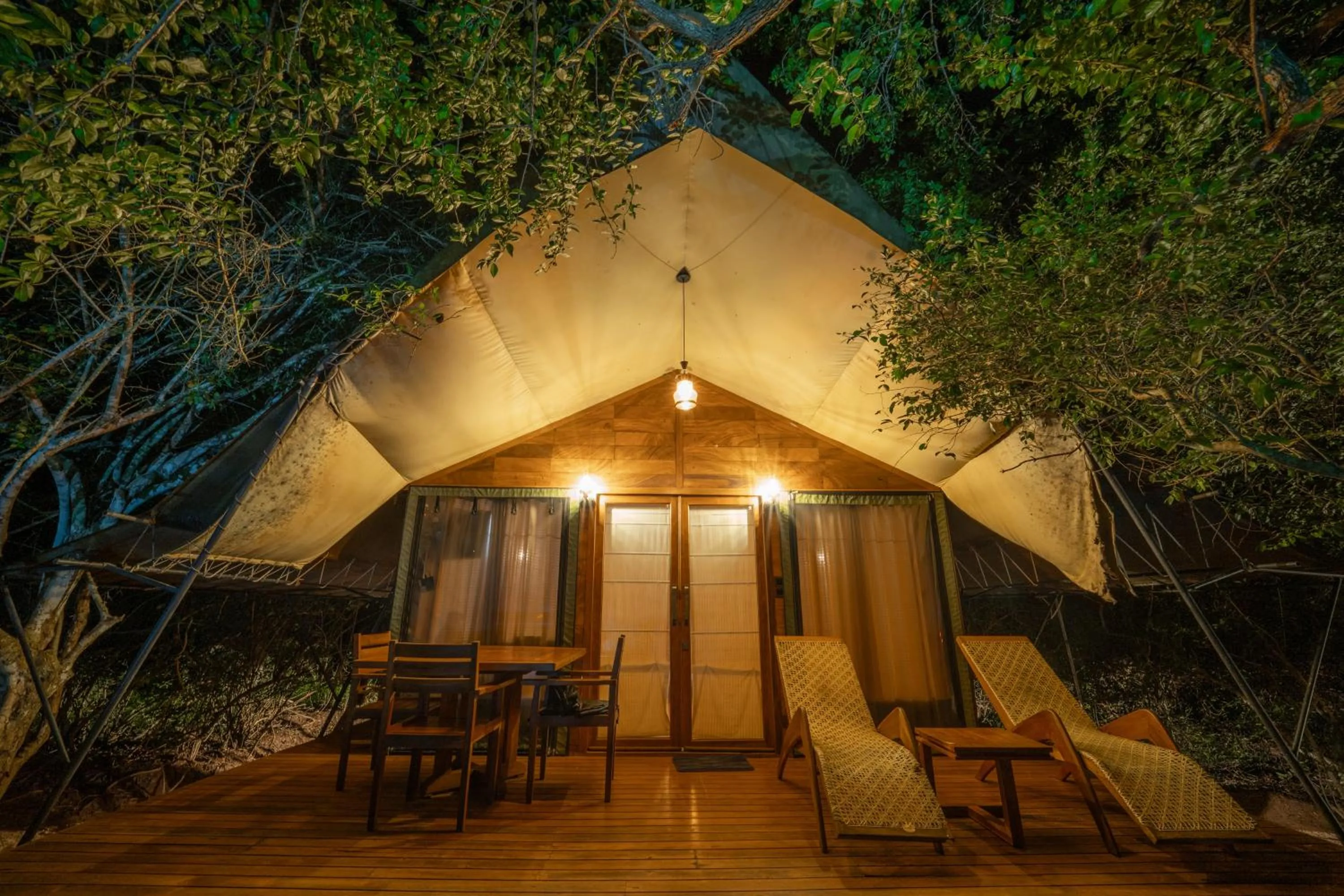 Night in Leopard Reach Yala by Seven Angels