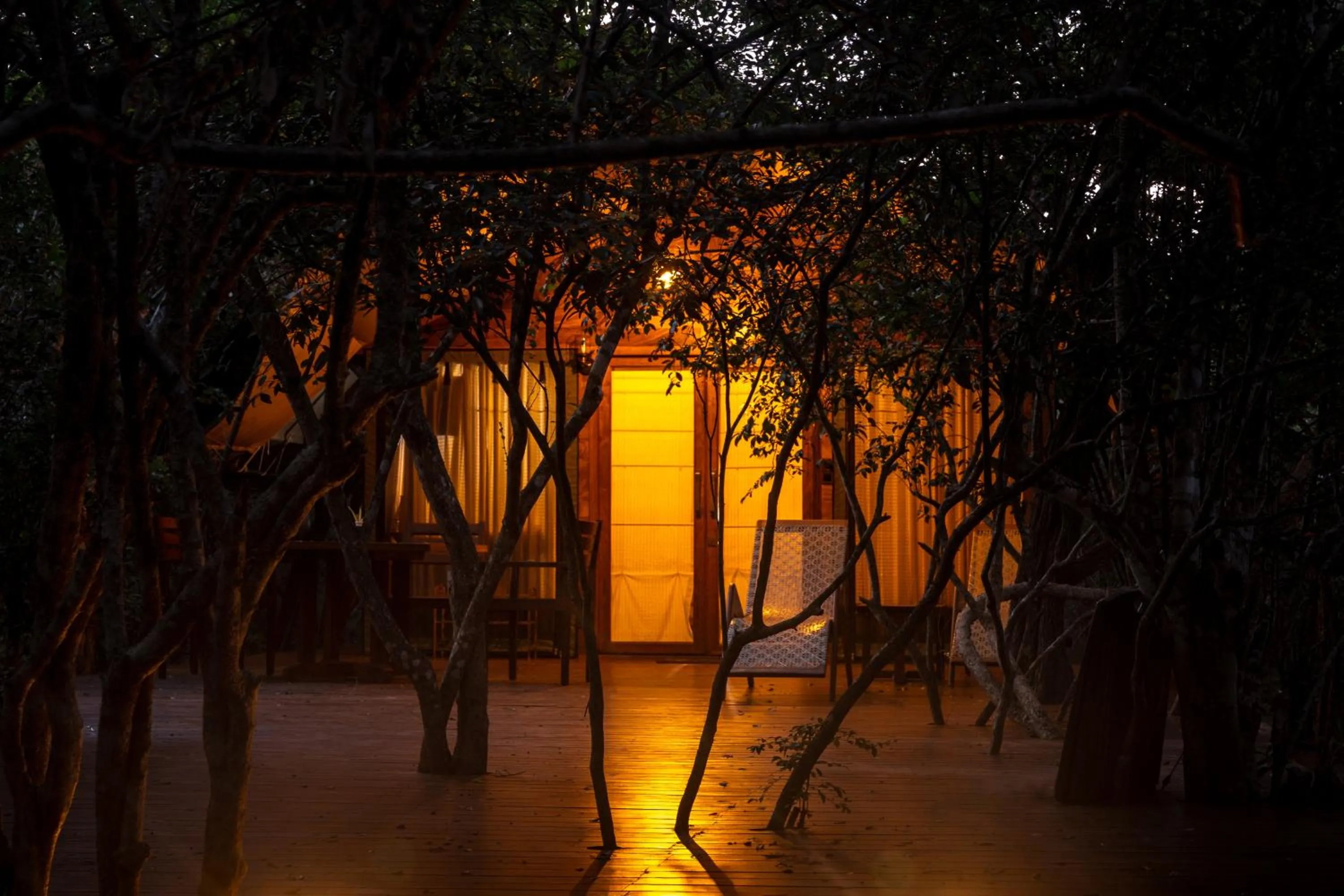 Night in Leopard Reach Yala by Seven Angels