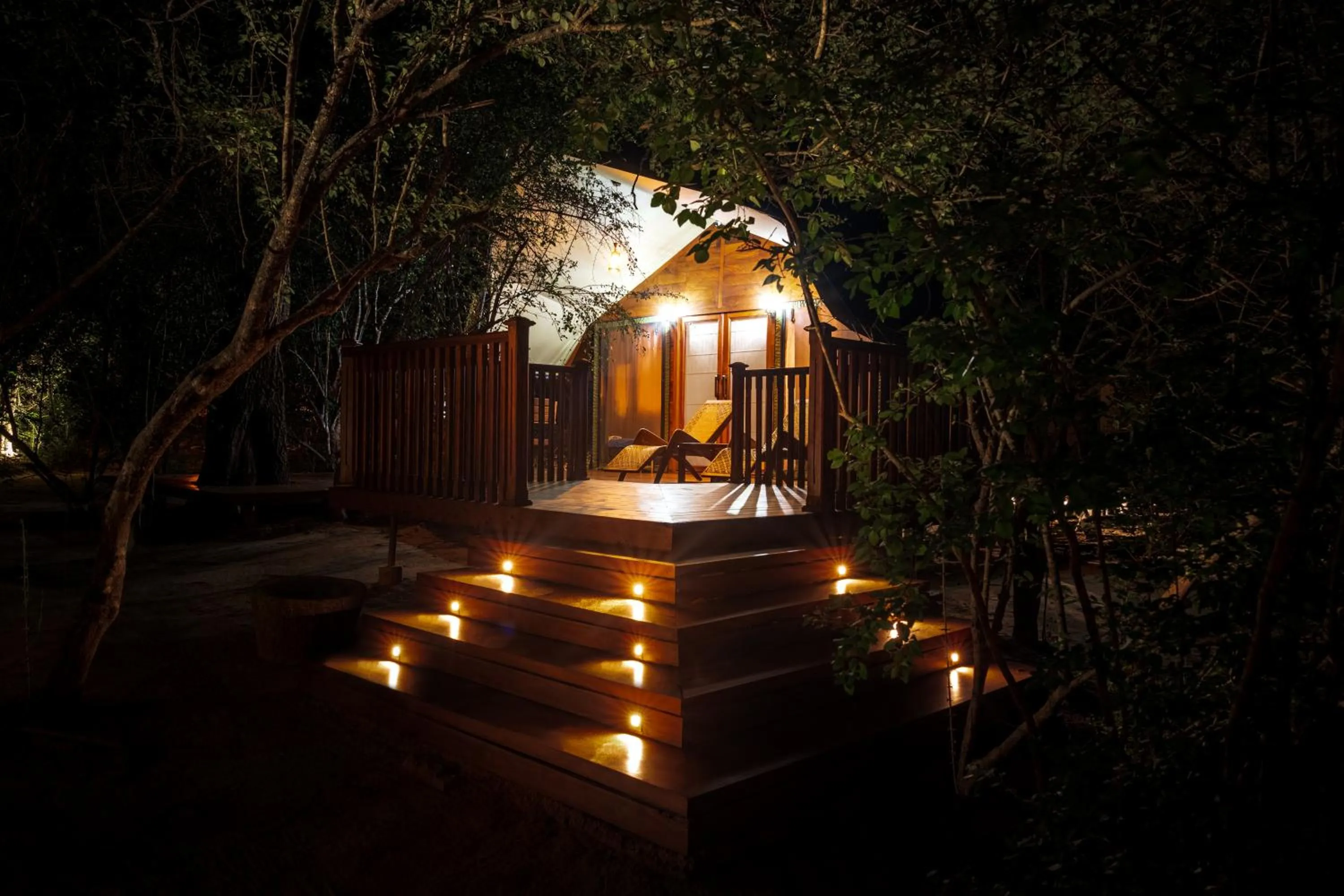 Night in Leopard Reach Yala by Seven Angels