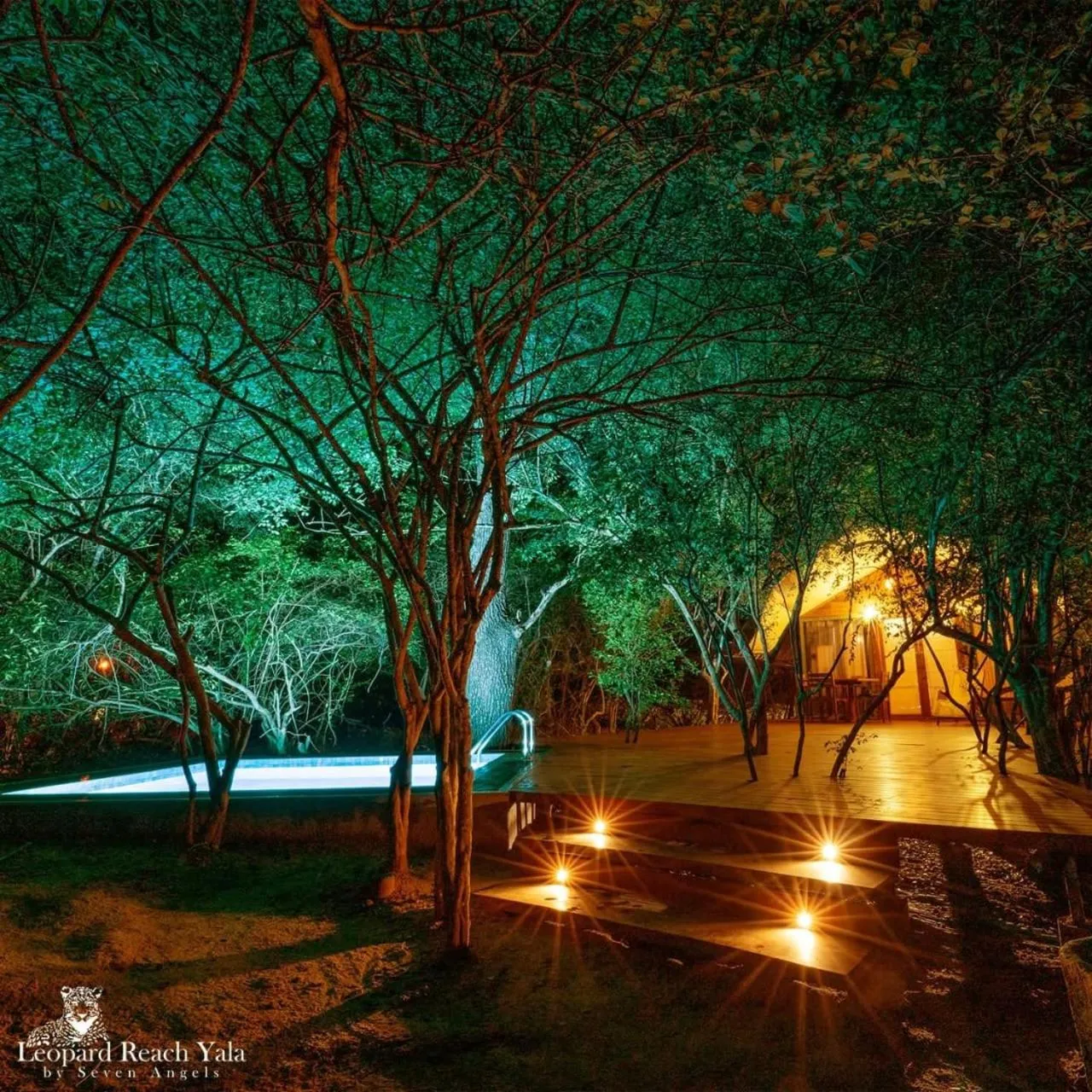 Night in Leopard Reach Yala by Seven Angels