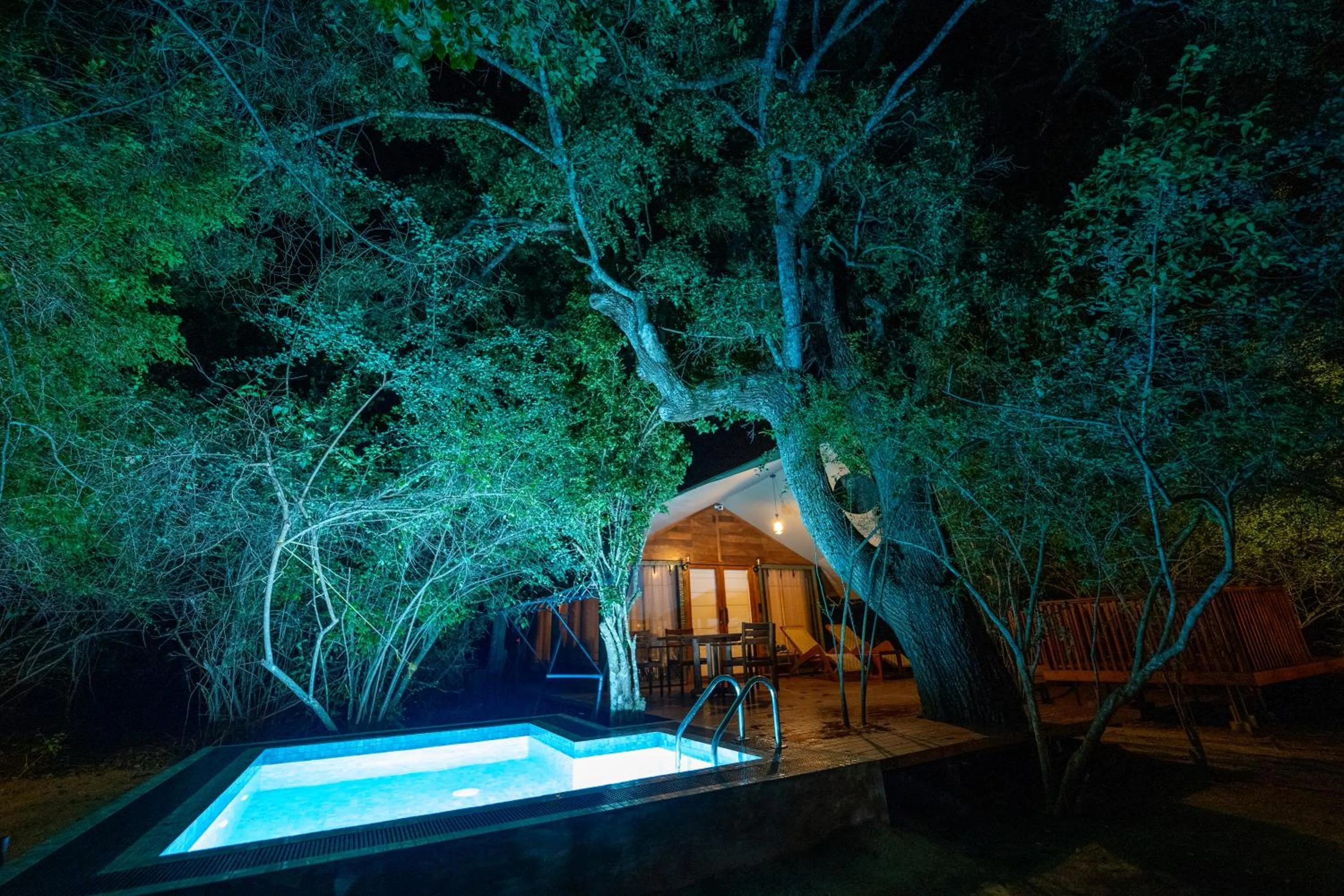 Night in Leopard Reach Yala by Seven Angels