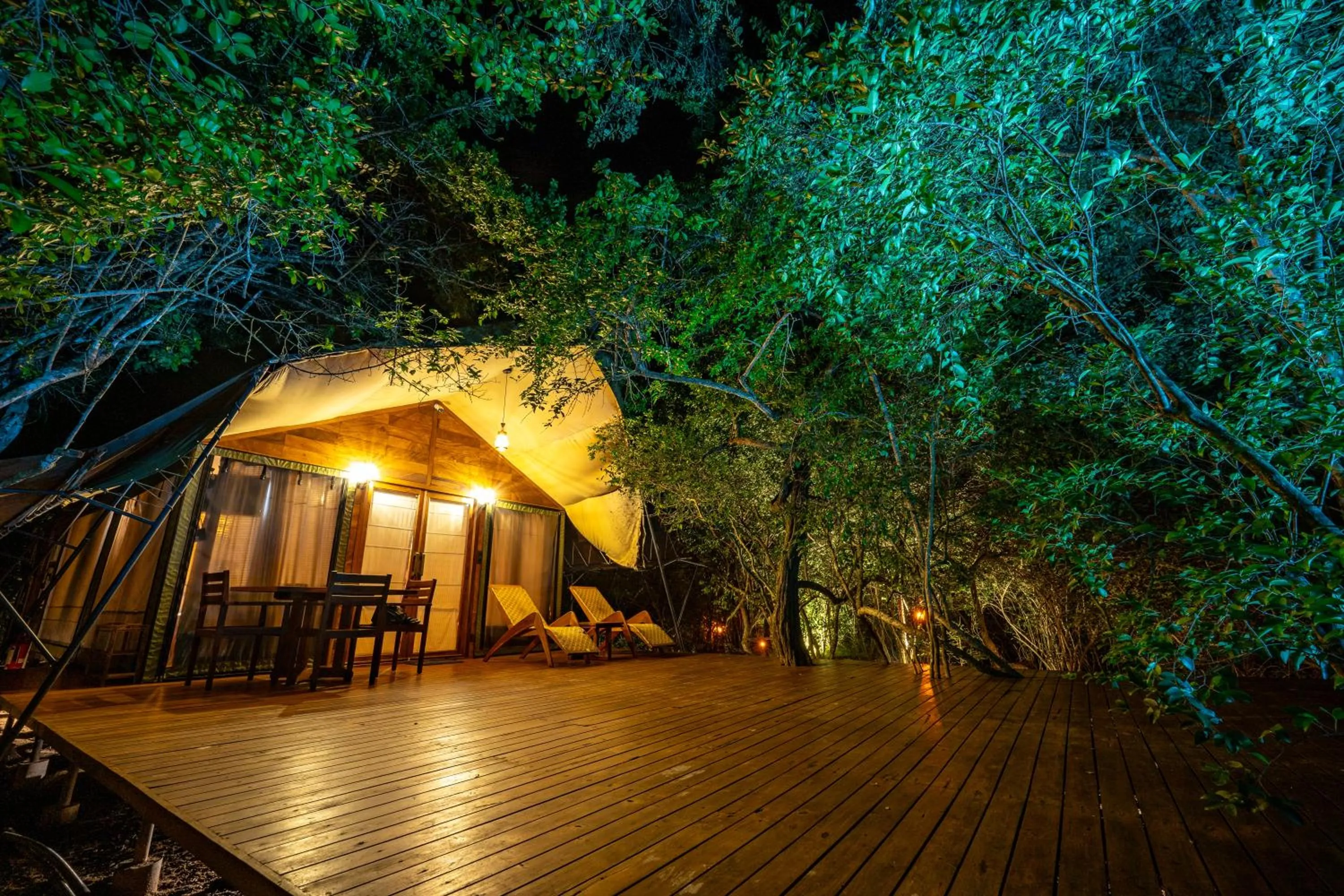 Night in Leopard Reach Yala by Seven Angels
