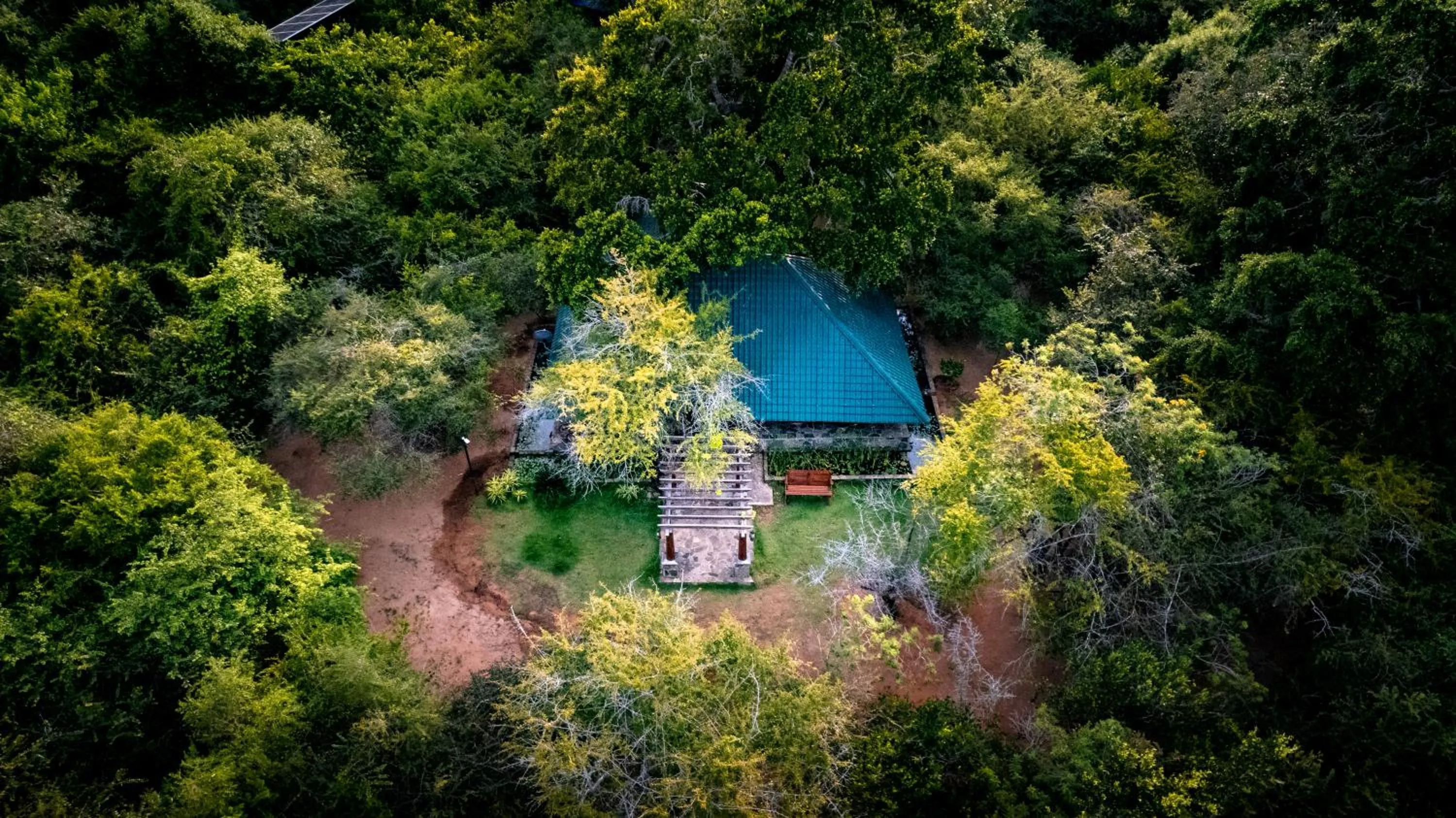 Bird's eye view in Leopard Reach Yala by Seven Angels