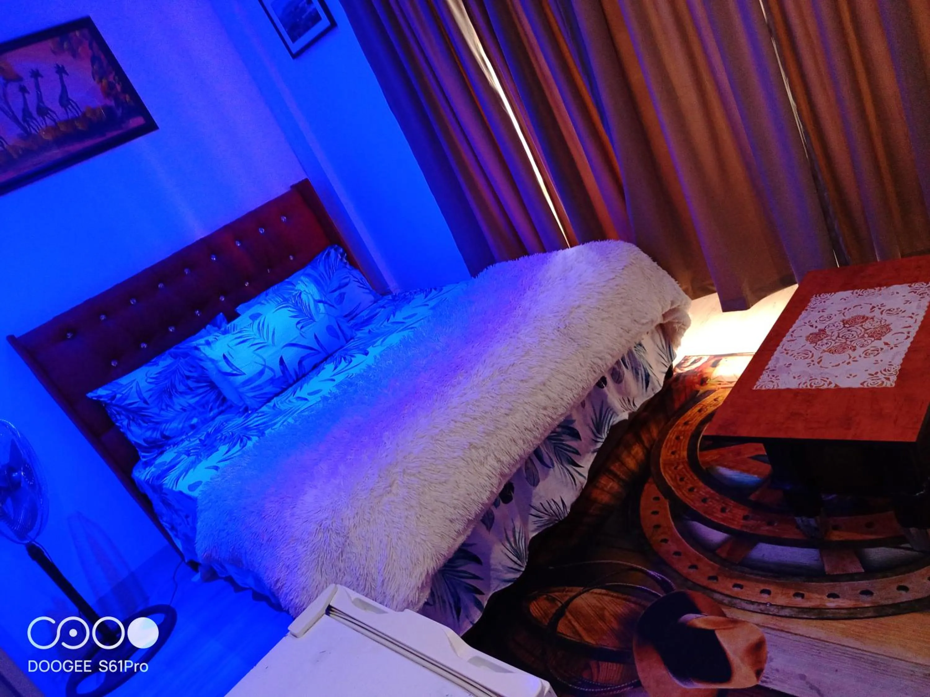 Bed in M5 PARK BED AND BREAKFAST