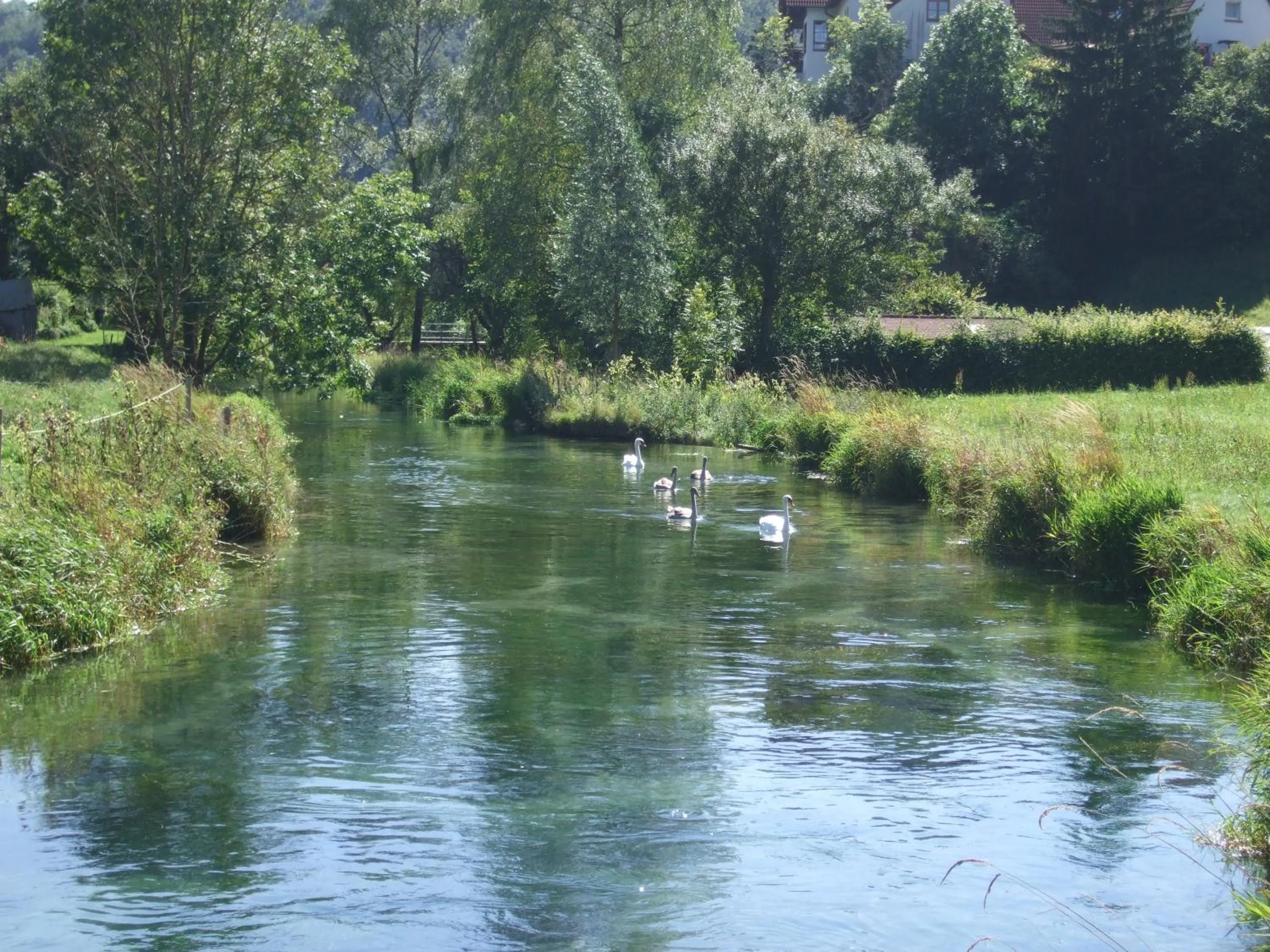 Natural landscape in Gasthof zur Post