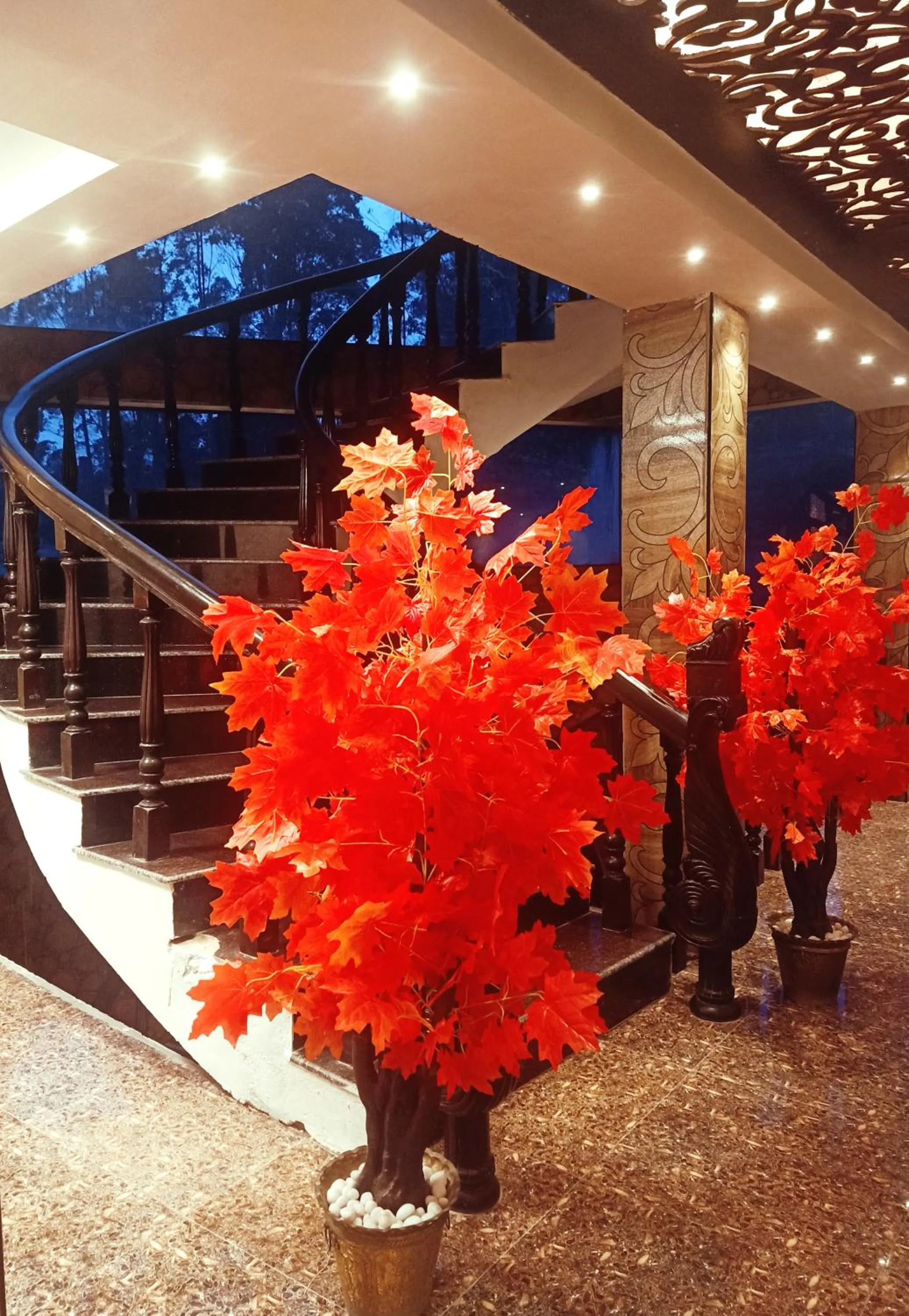 Other in HYDERS PARK- THE LUXURY HOTEL