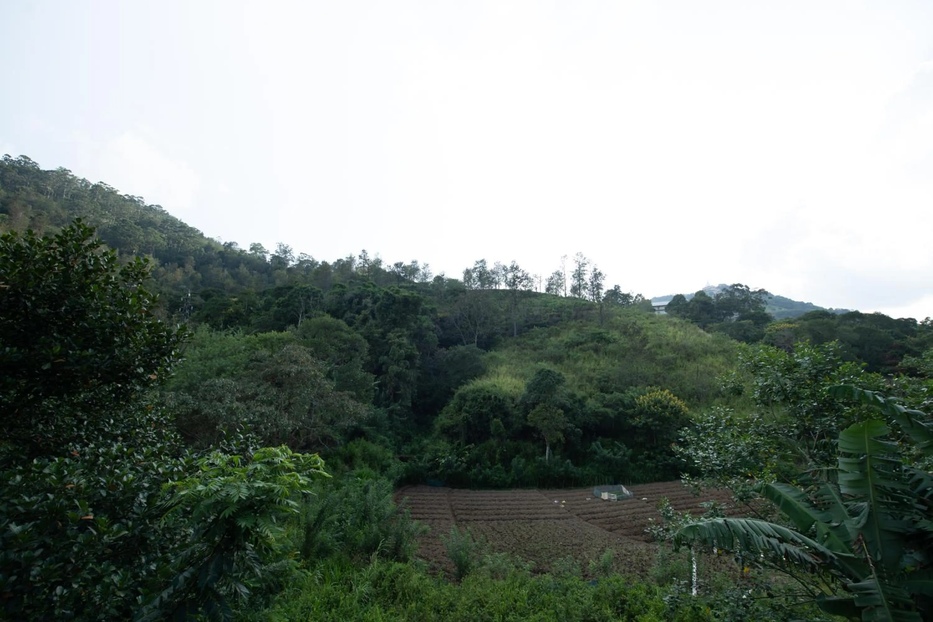 Natural landscape in Ayubo Ella - Bed & Breakfast