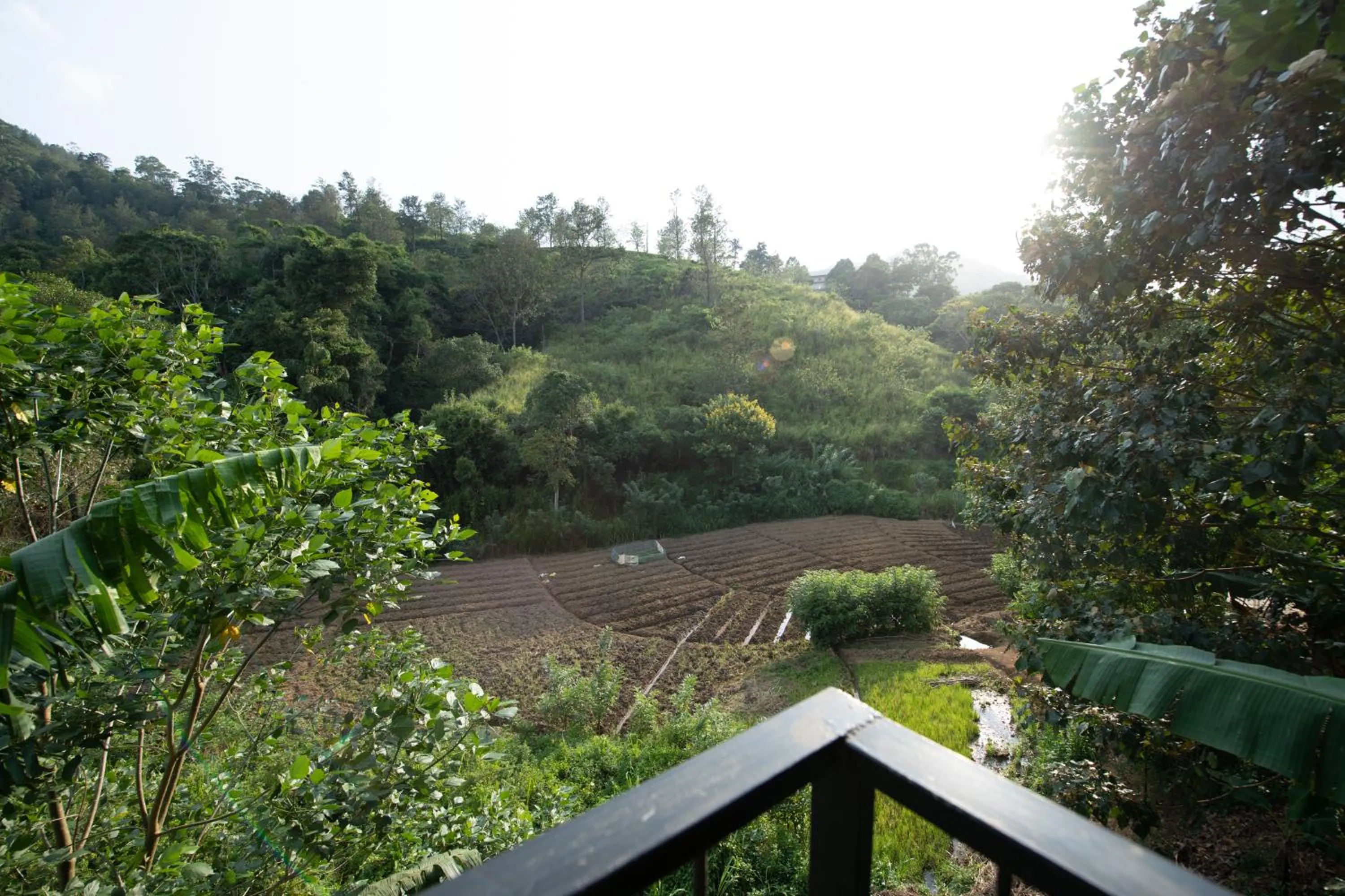 Ayubo Ella - Bed & Breakfast