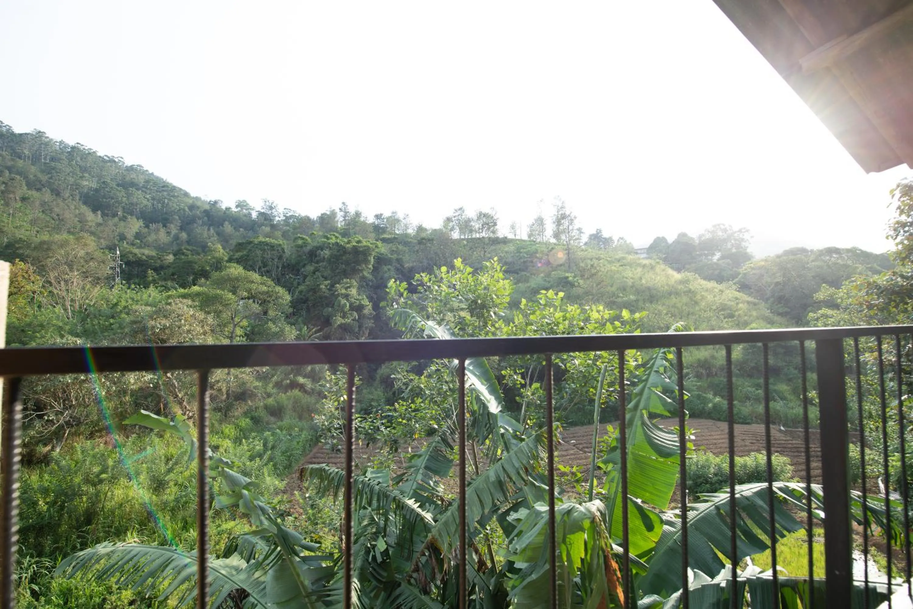 Ayubo Ella - Bed & Breakfast