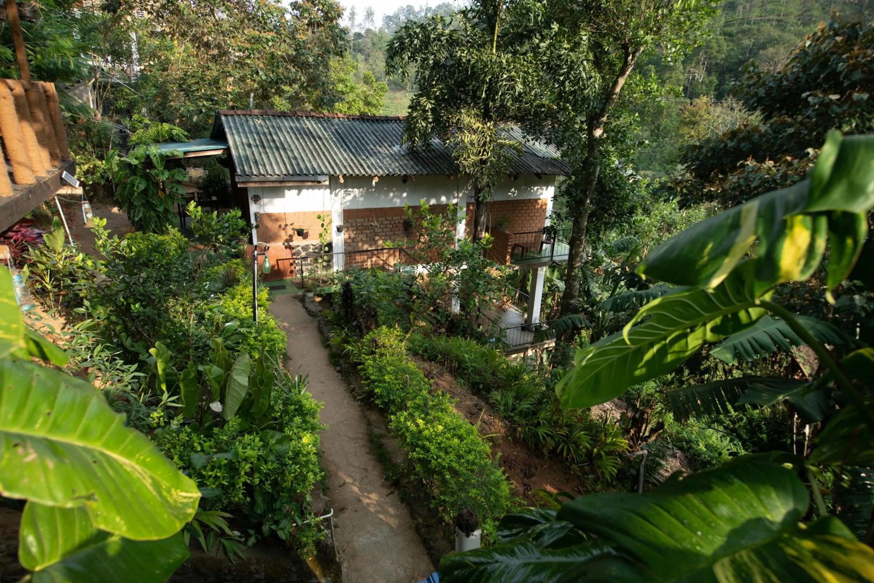 Property building in Ayubo Ella - Bed & Breakfast
