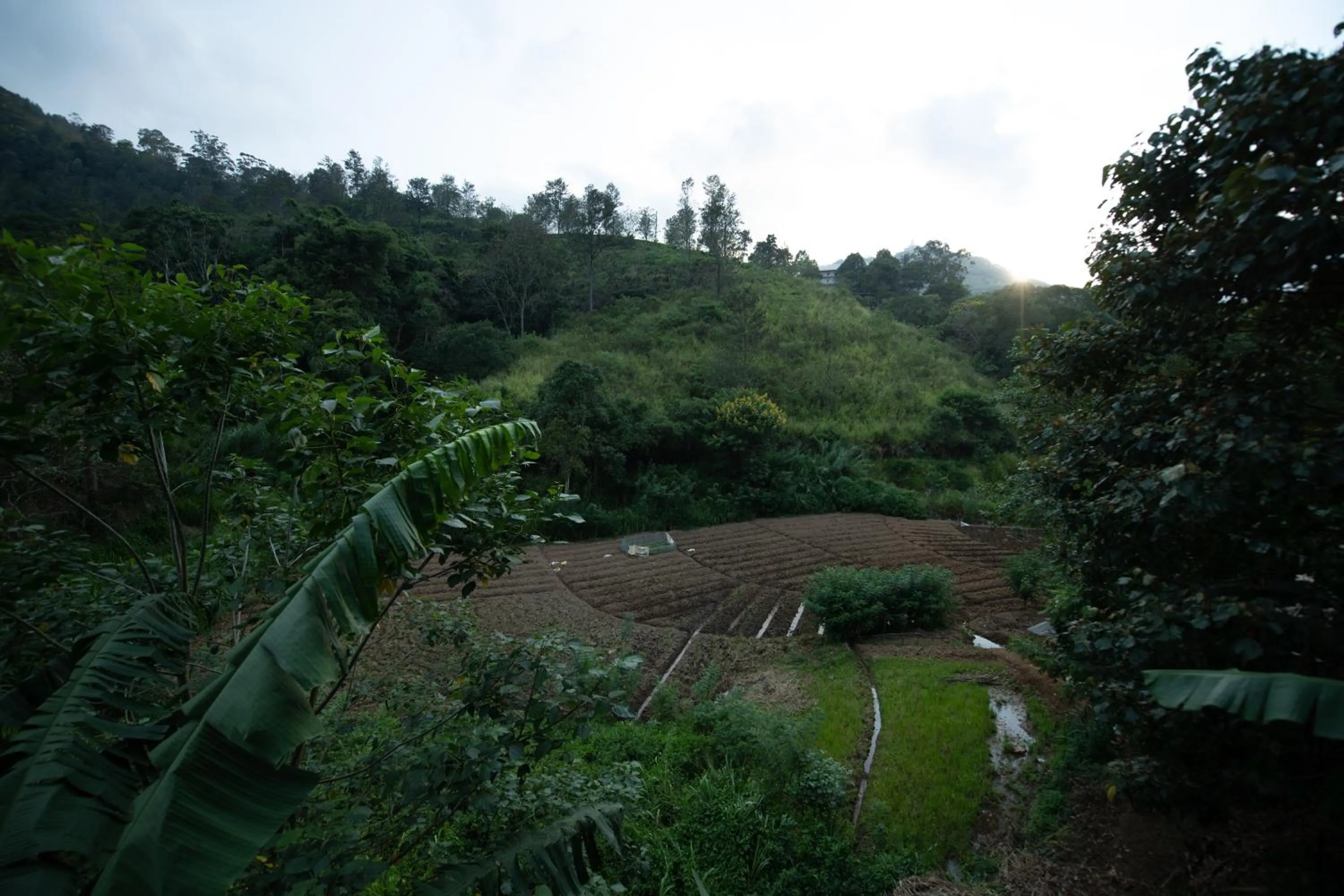 Natural landscape in Ayubo Ella - Bed & Breakfast