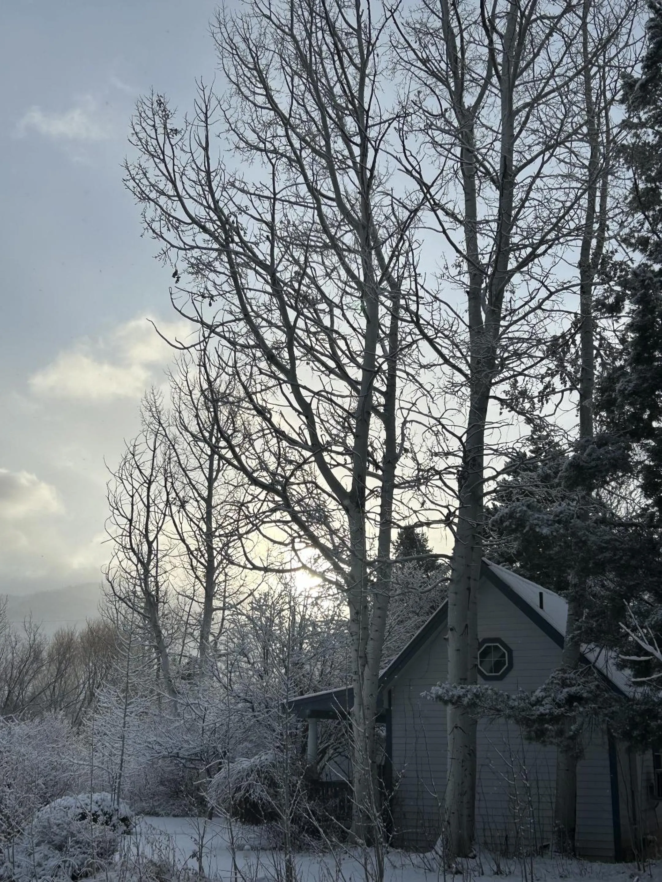 Garden in Apple Orchard Inn