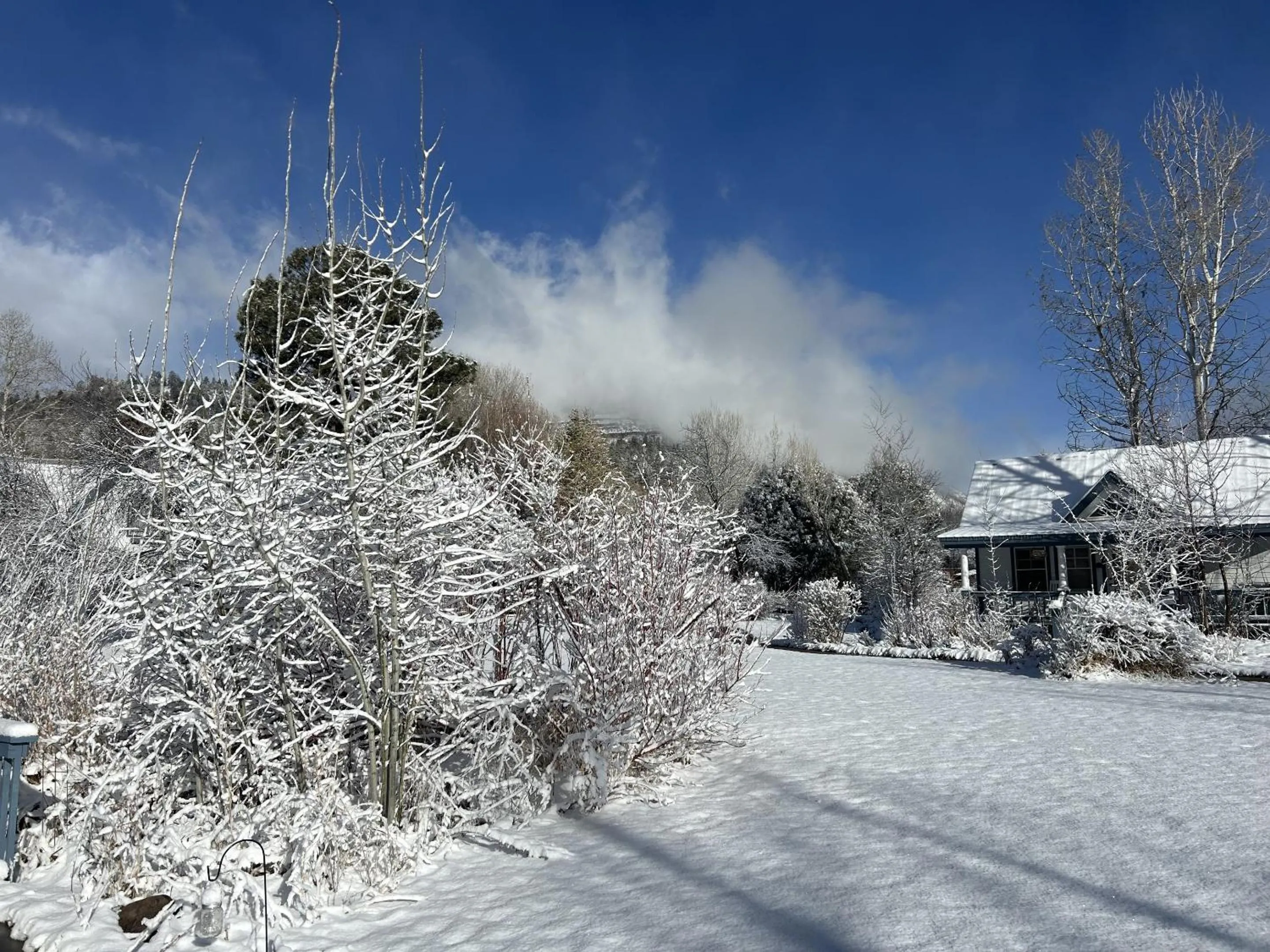 Garden in Apple Orchard Inn