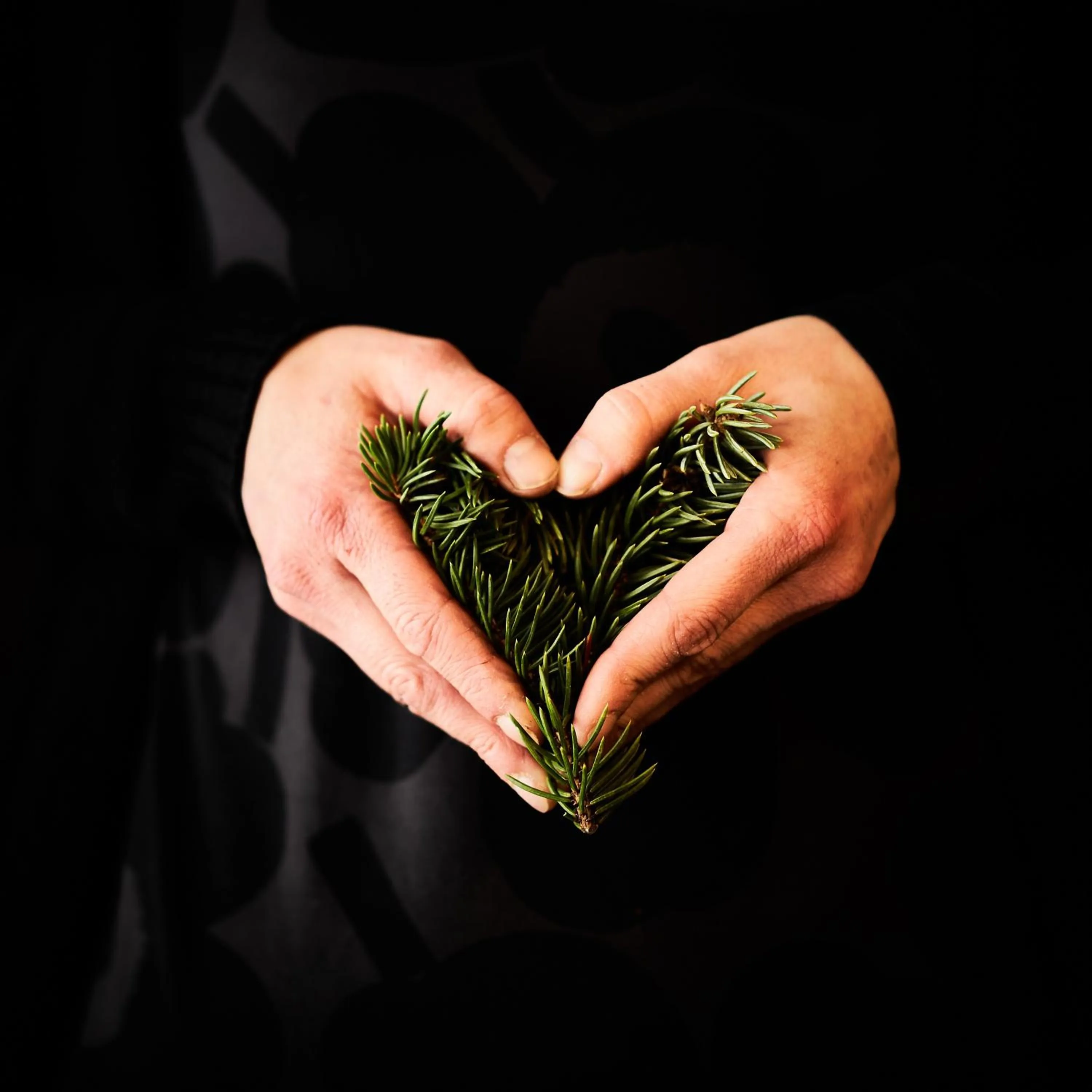 Restaurant/places to eat in Hotelli Havu