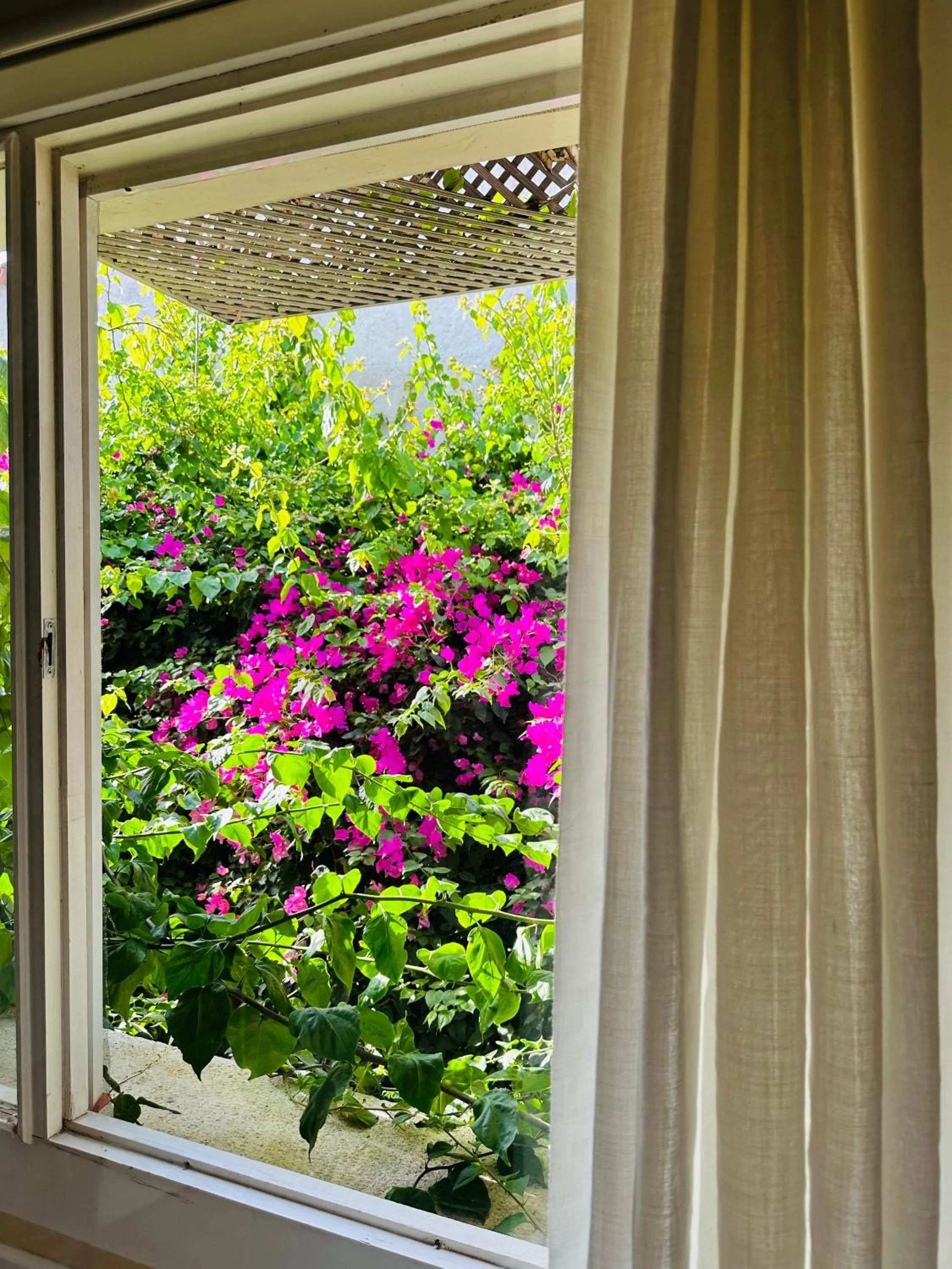 Spring in Alaca Butik Otel