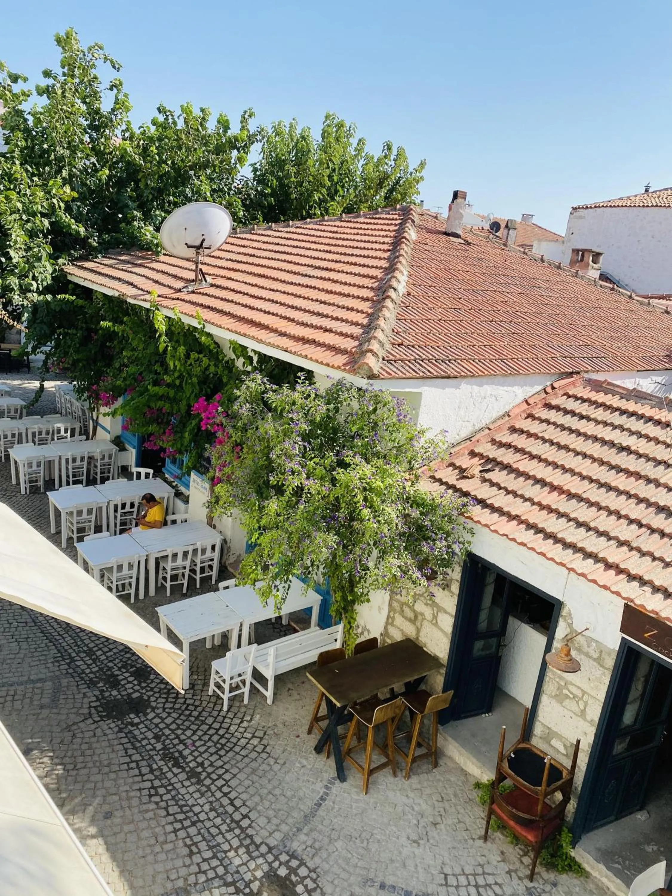 Garden view in Alaca Butik Otel
