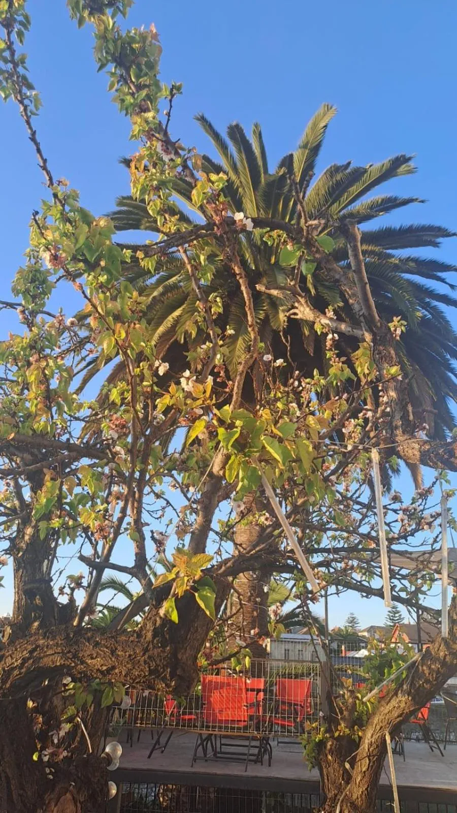 Off site in Hotel 251