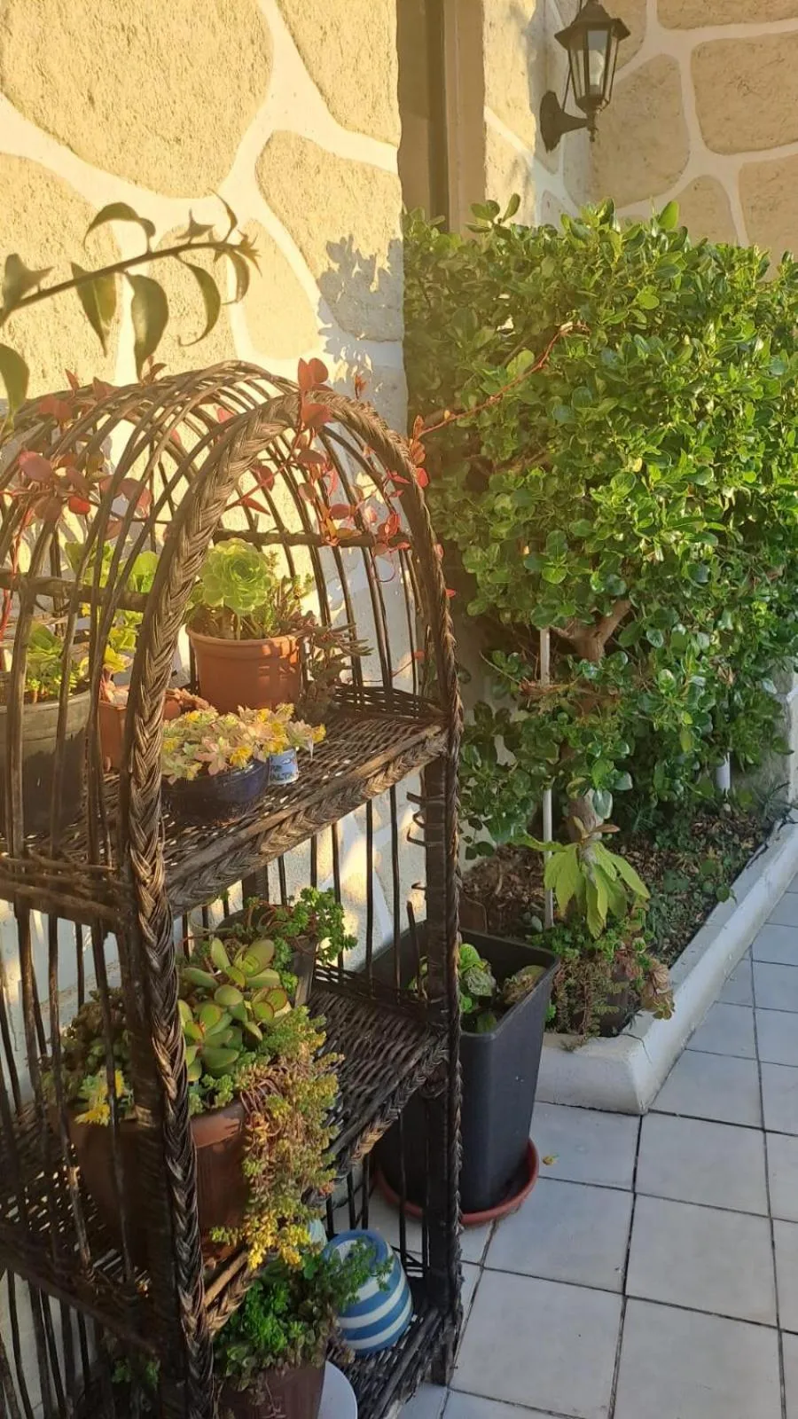 Off site in Hotel 251