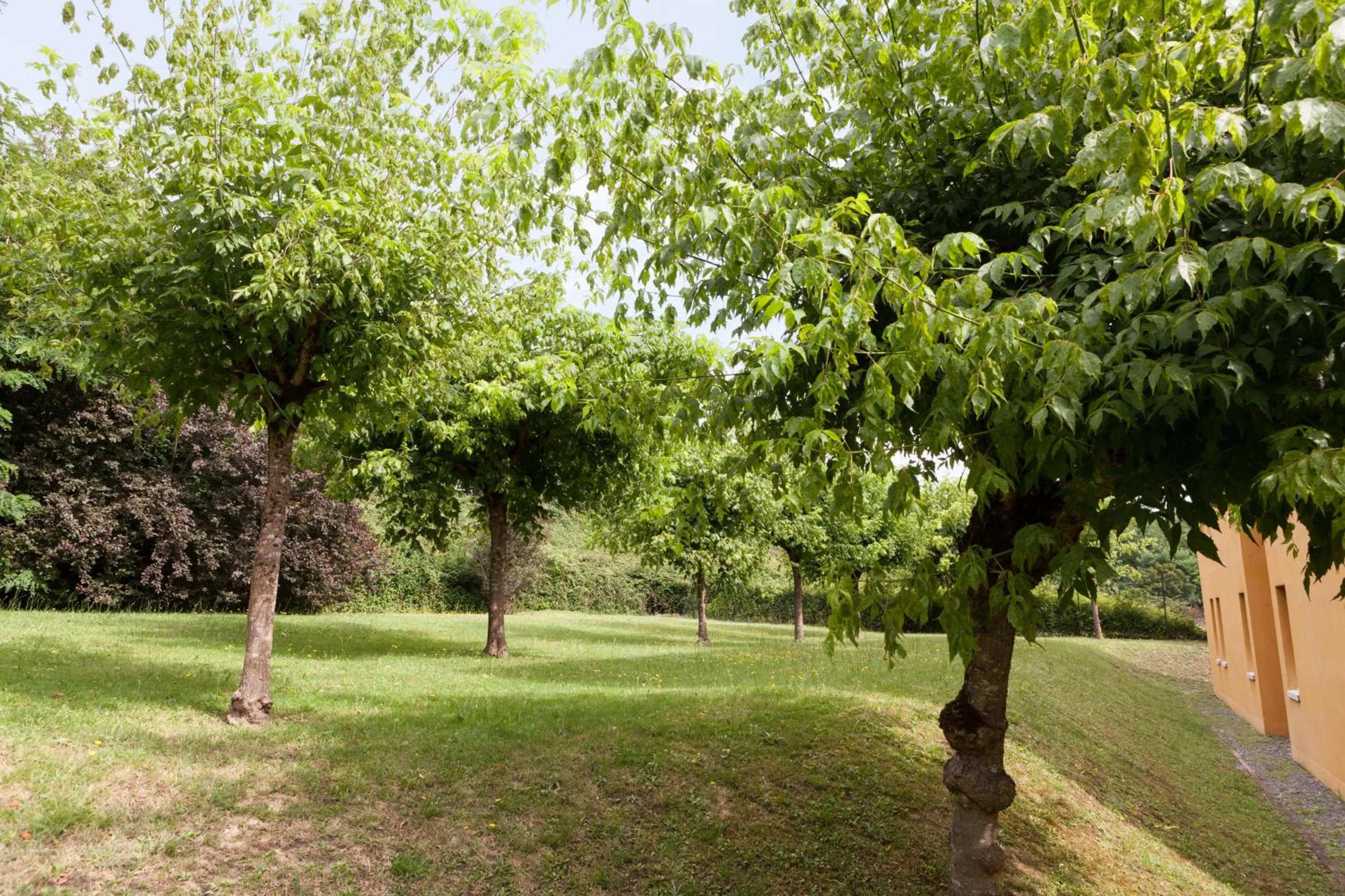 Garden in Kyriad Direct Bordeaux Est Lormont