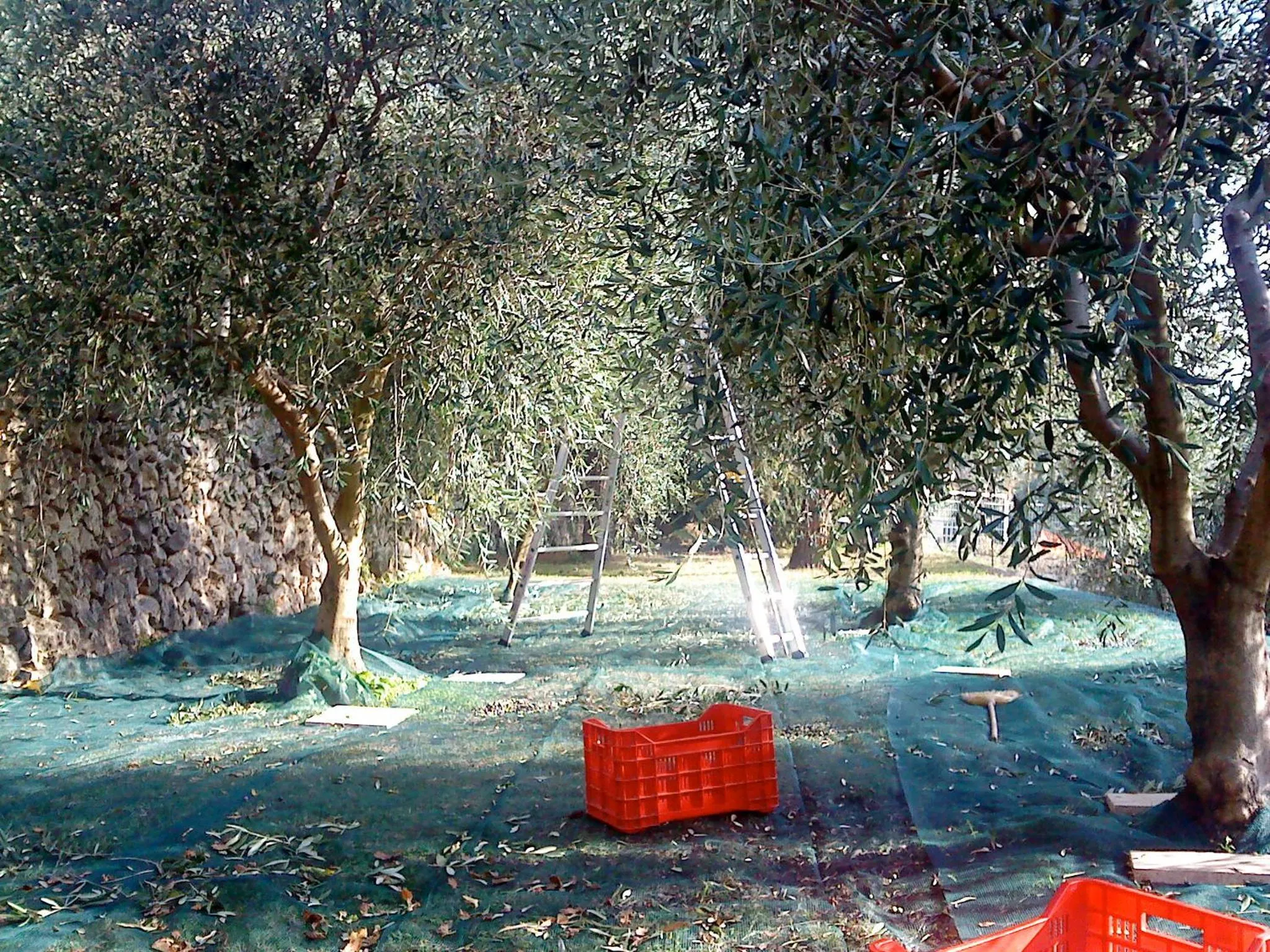 Other in Mas de Vence - Hotel-Restaurant