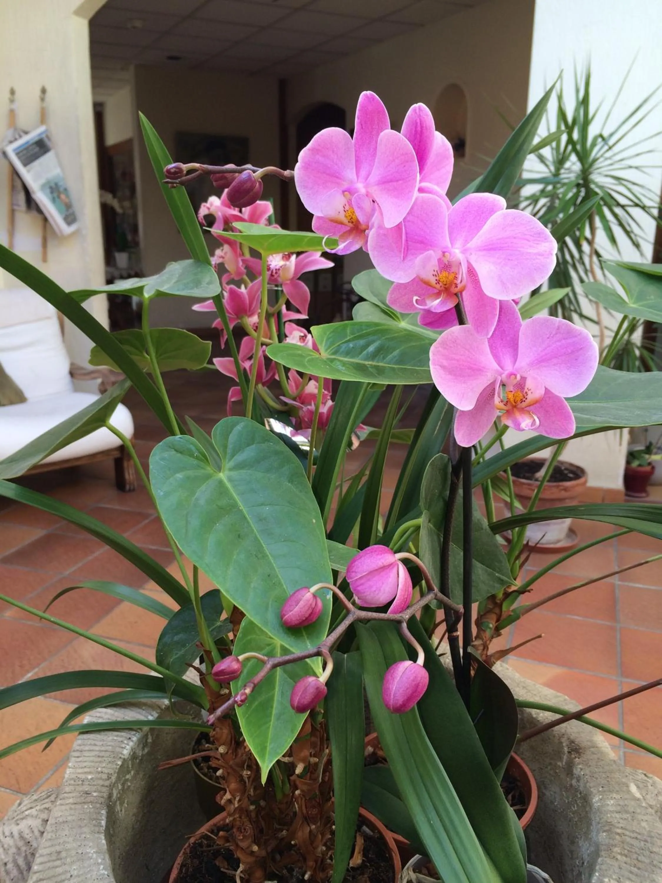 Decorative detail in Mas de Vence - Hotel-Restaurant